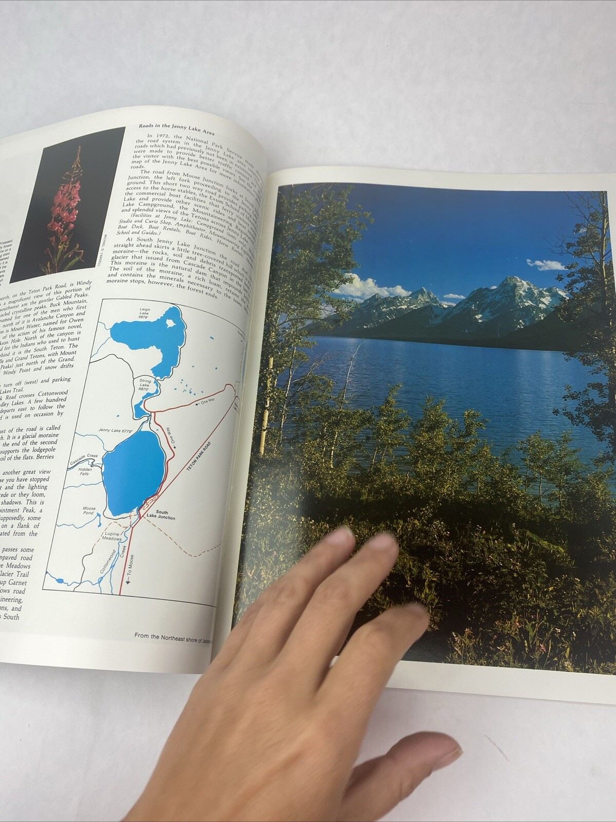 National Parkways Grand Teton Park Magazine 1976 Vintage Travel Book Souvenir WY