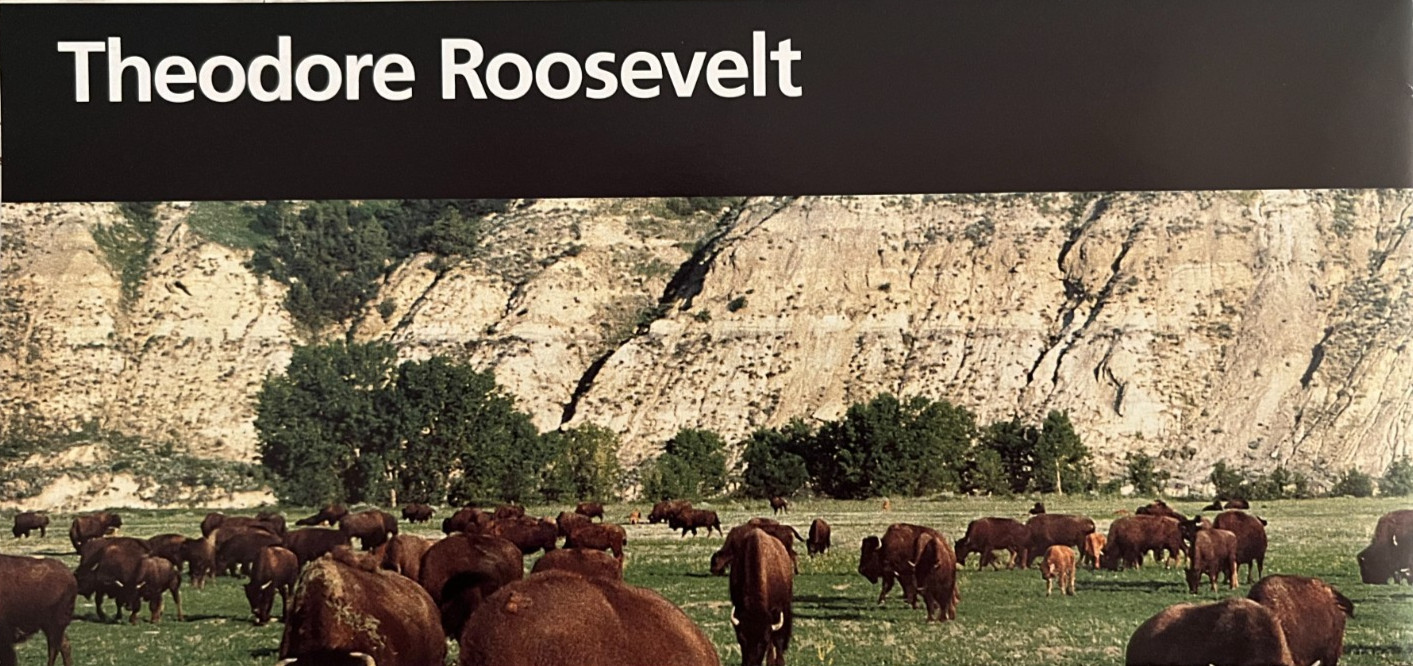 Vintage 2006 THEODORE ROOSEVELT – ND NATIONAL PARK SERVICE UNIGRID BROCHURE/MAP