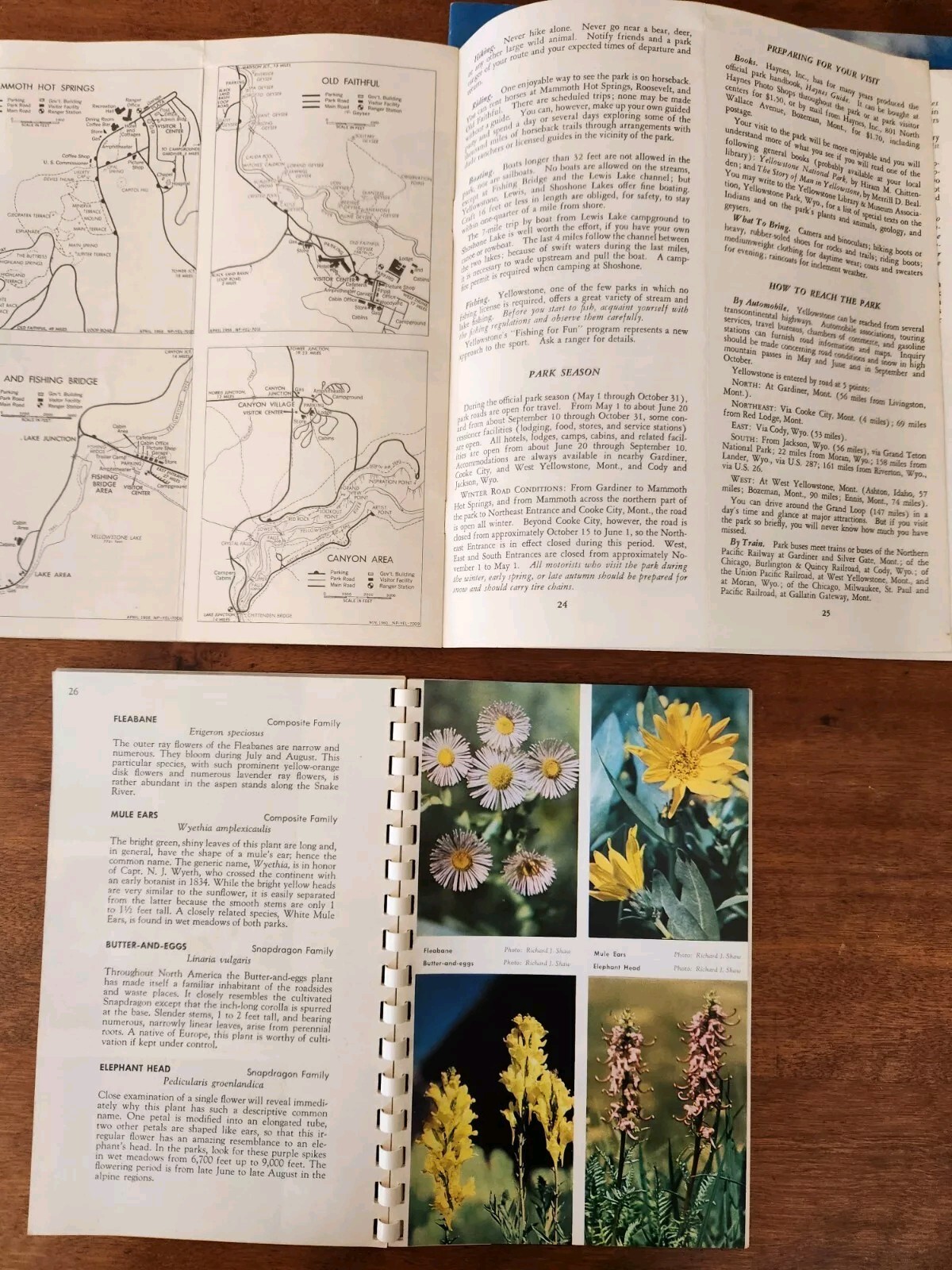 1960s Yellowstone Park Souvenir Albums, brochures, slides lot