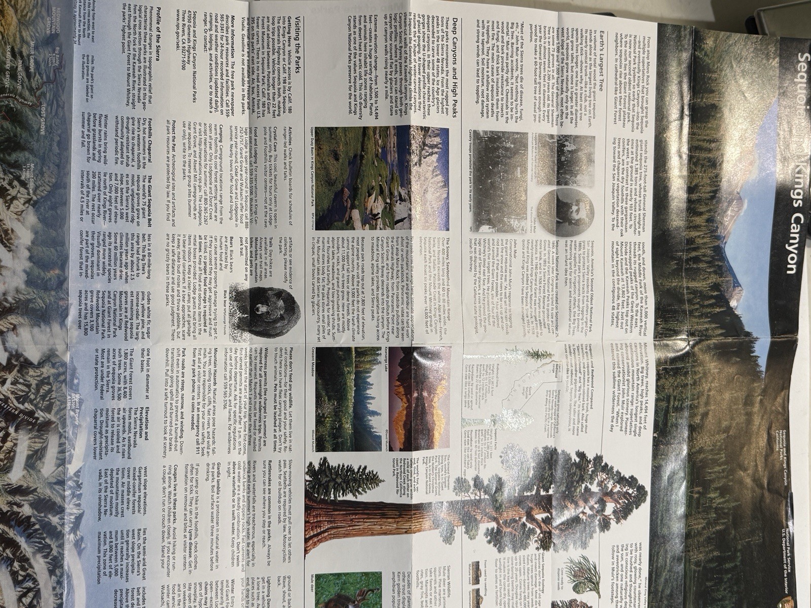 Lot Of 6 Unigrids/Brochures Major National Parks Yosemite Grand Teton Sequoia