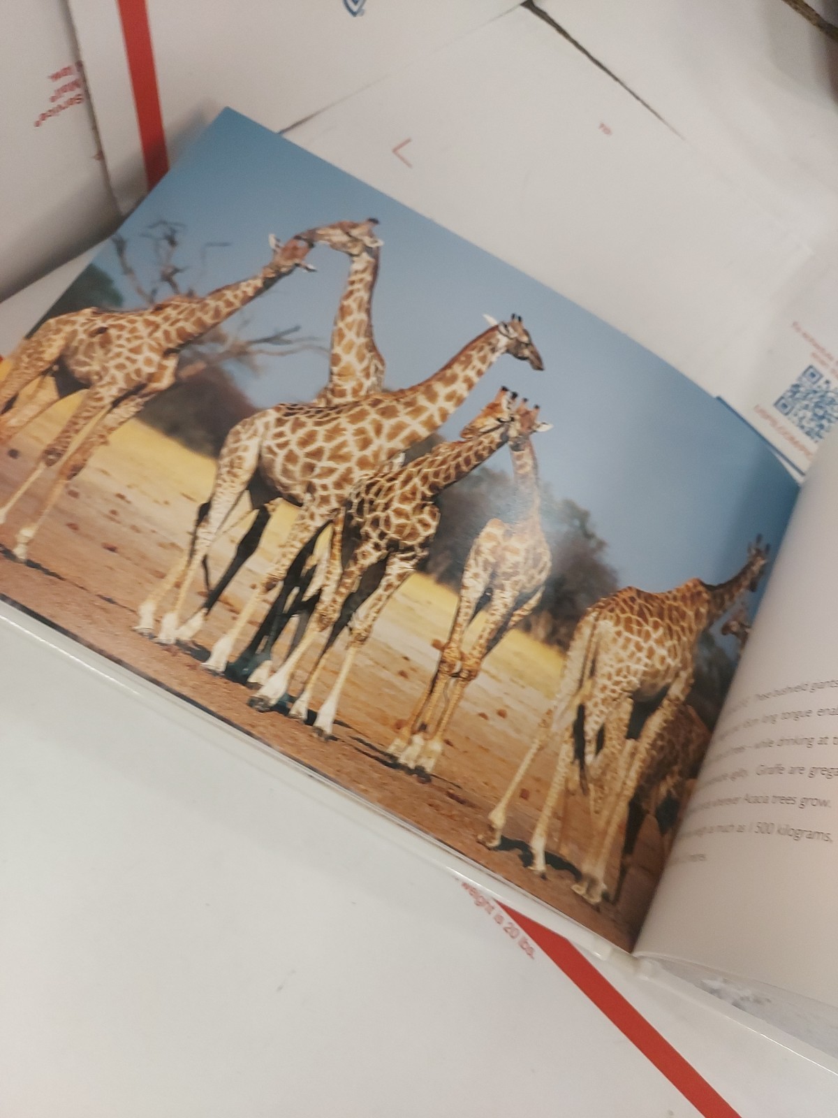 Kruger National Park South Africa Book Land Of contrast People Southern Africa