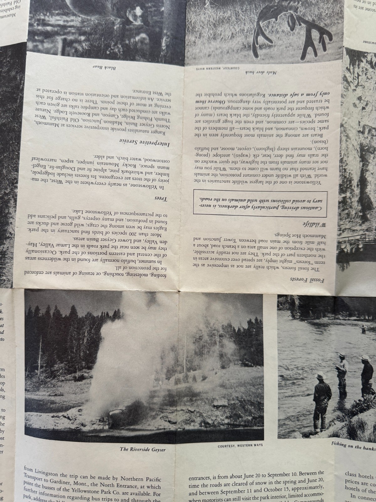 1955 Promotional Brochure to Yellowstone National Park, Lot of 2