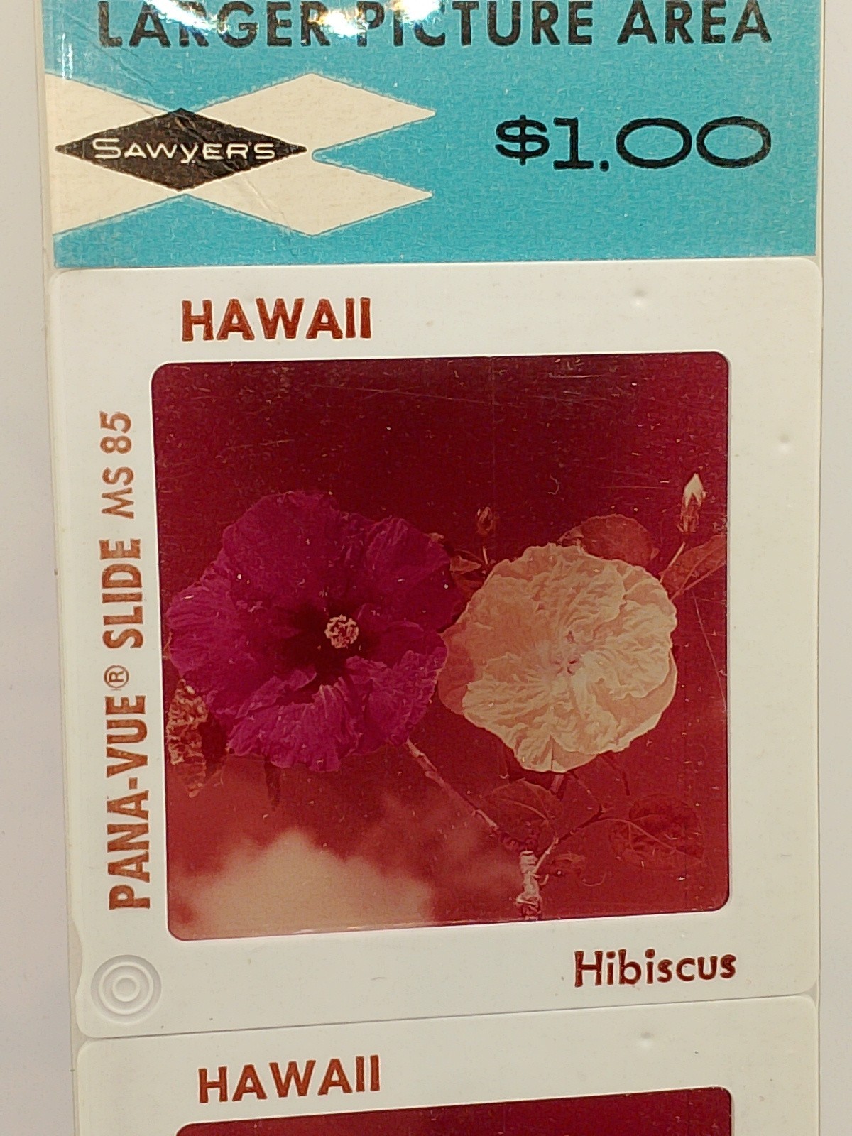 Vintage Pana Vue 4, 2×2 Color Slides Hawaiian Flowers Hibiscus, Bird Of Paradise
