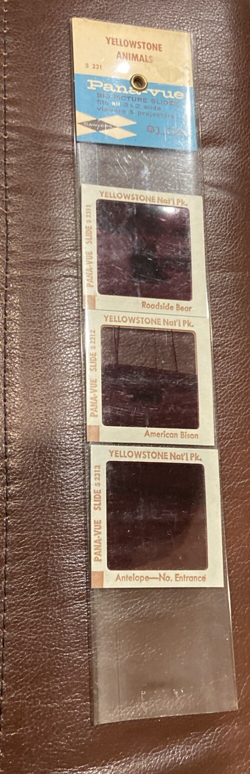 Vintage Pana Vue Slides – Yellowstone Animals