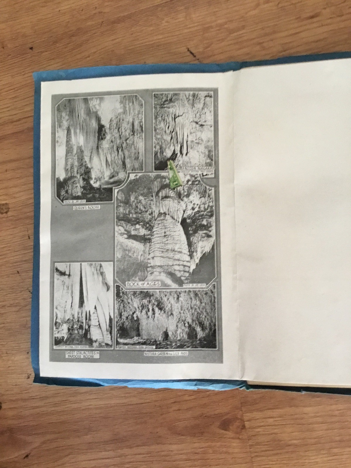 Vtg Carlsbad Cavern of New Mexico Its History Geology 9th Edition 1928