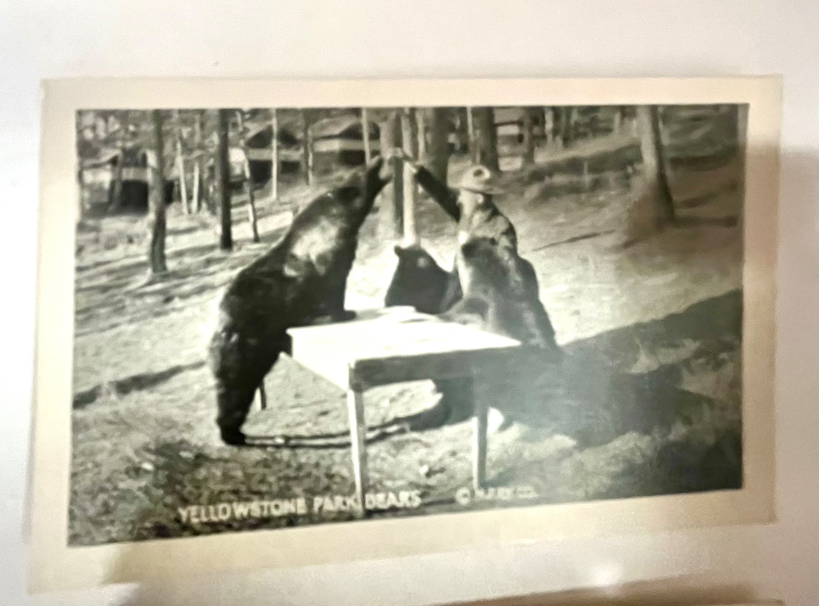 1923 Bardell Fototone Miniatures 20 Views Yellowstone National Park Photo Set-VG