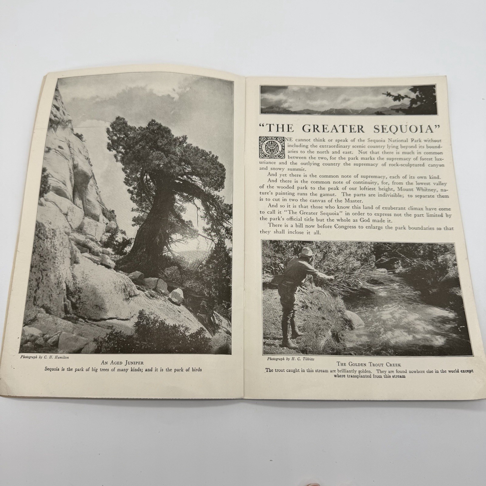 “SEQUOIA “The Big Tree National Park U S Dept of The Interior Booklet – 1916