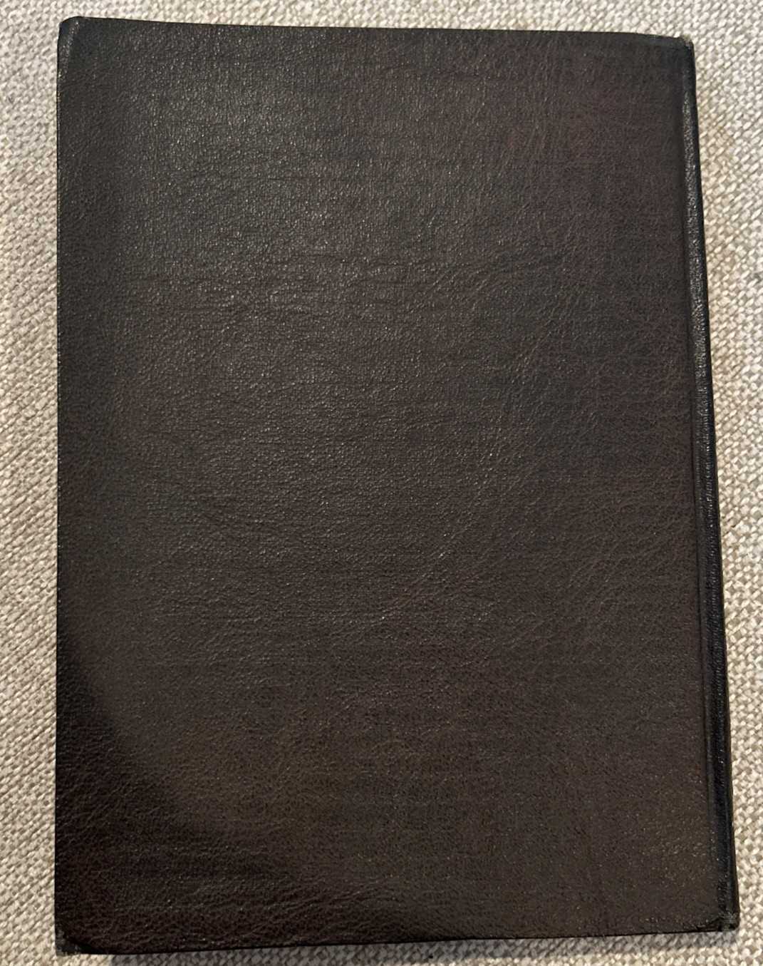 Antique Haynes Guide to Trees And Flowers: Yellowstone National Park 1923-Rare!