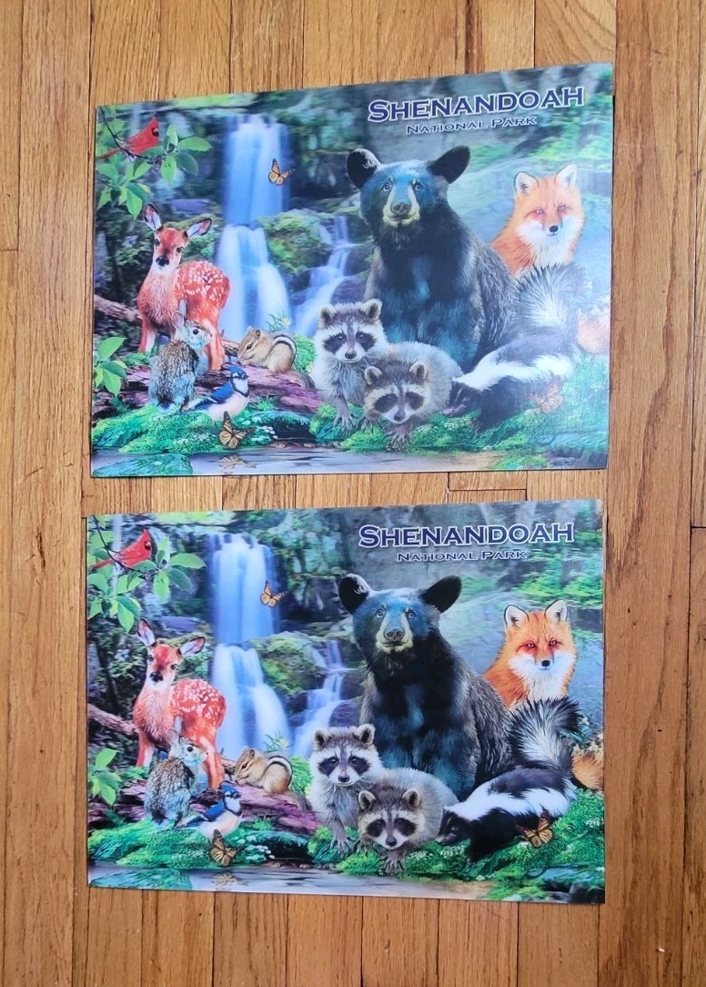 Shenandoah National Park Wildlife 3D Placemats Set of 2 Cabin Lodge Decor