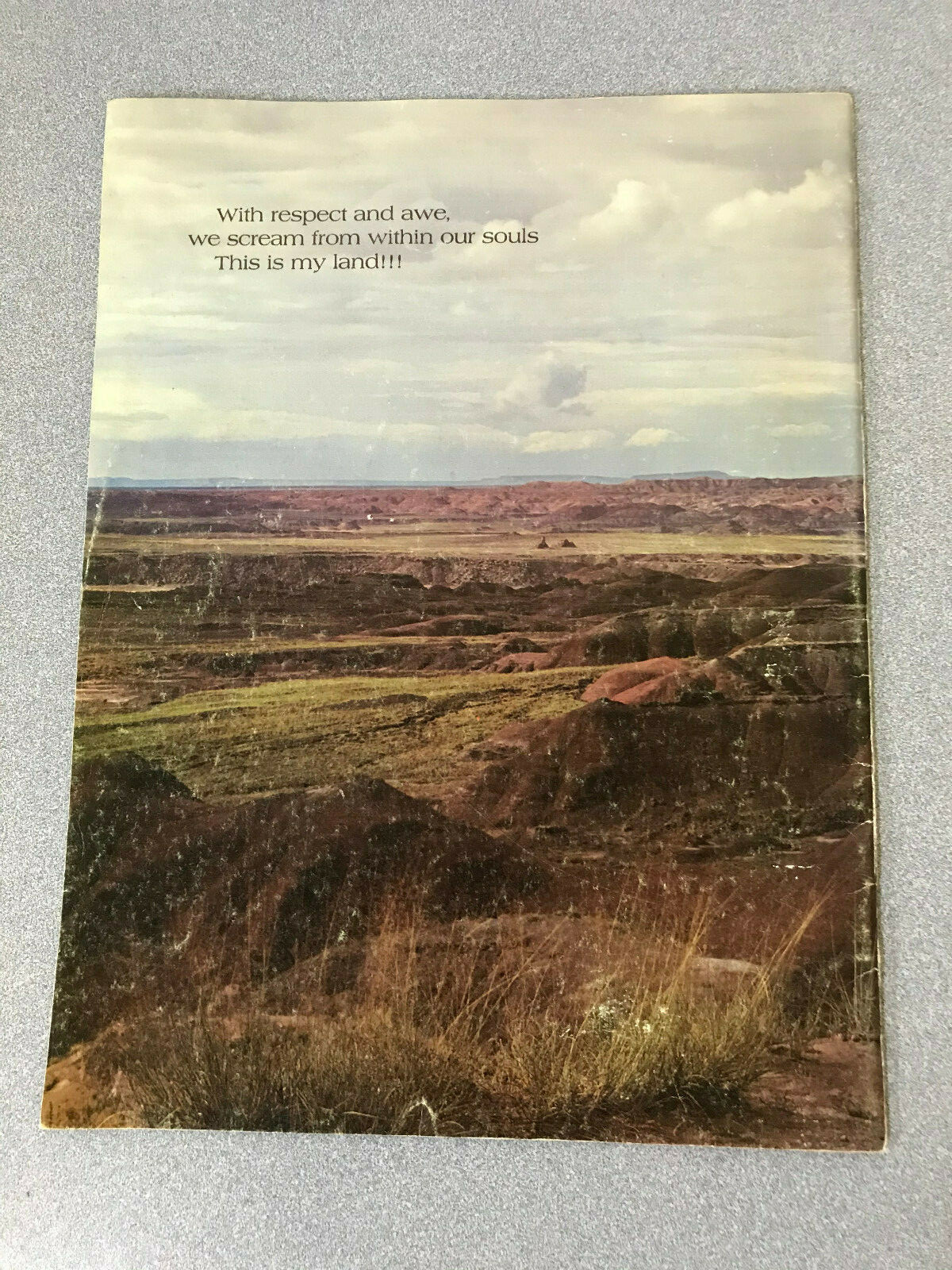 This Painted Desert Petrified Forest National Park John Wagoner 1971 Art Book