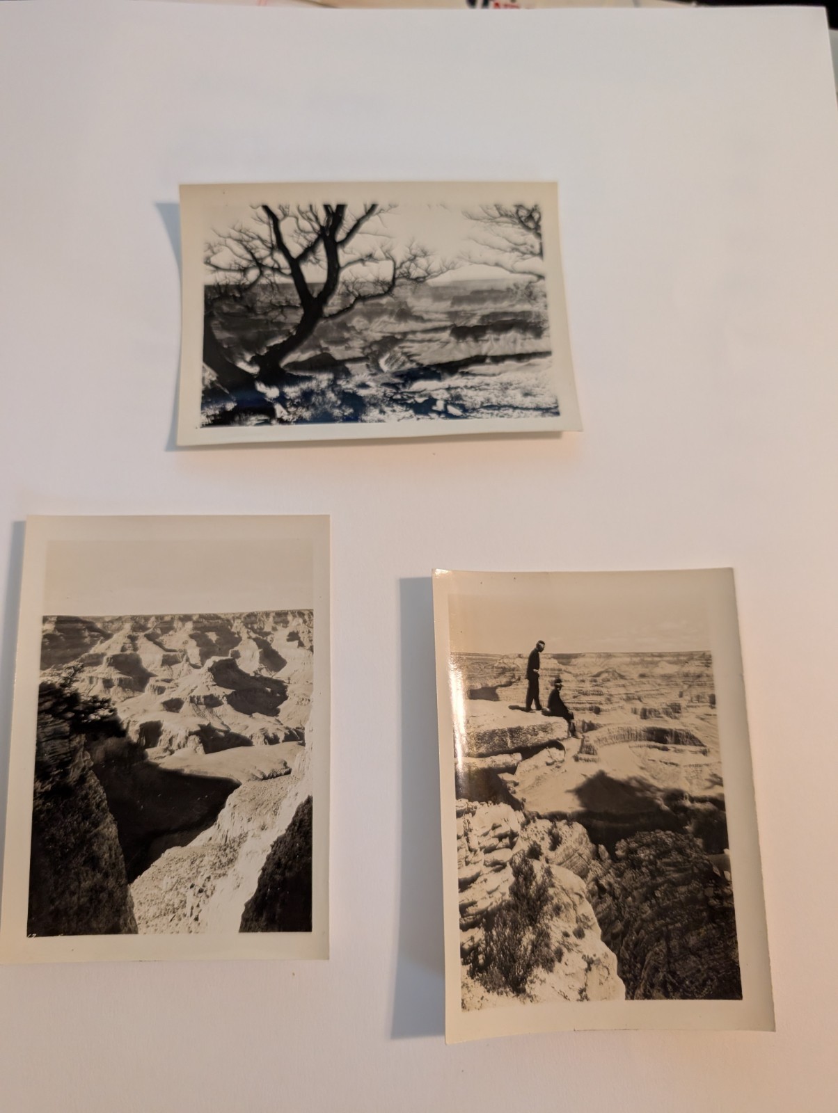 Vintage Selected Photographs Grand Canyon National Park Published by Fred Harvey