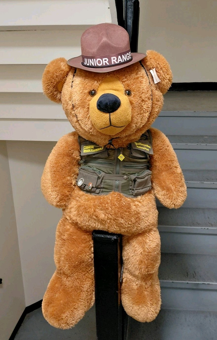 Yellowstone National Park Junior Ranger 37″ Teddy Bear Stuffed Plush w/ Pins NWT