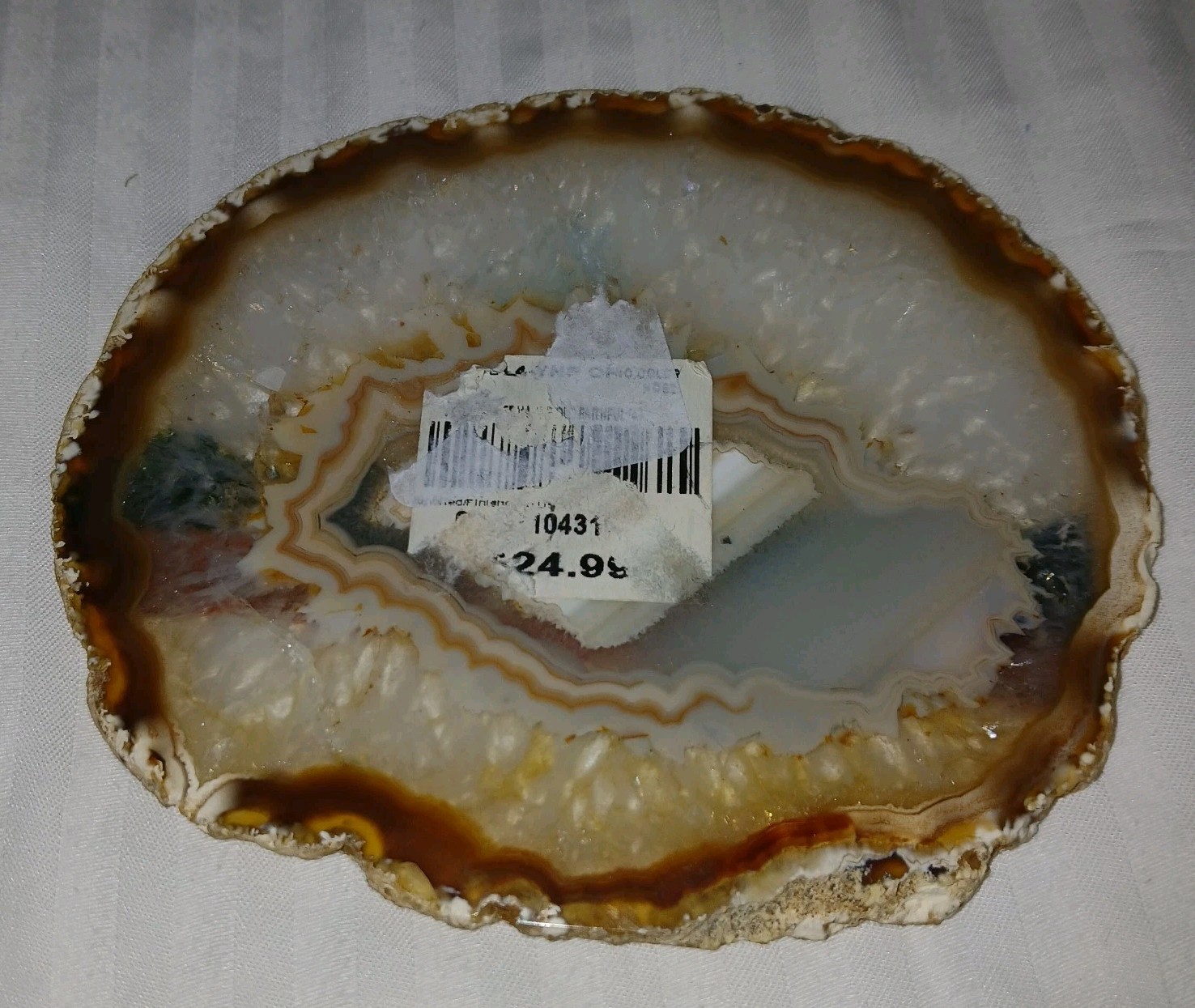 Geode Crystal Agate Slice Hand Painted Old Faithful Geyser Yellowstone Ntl Park