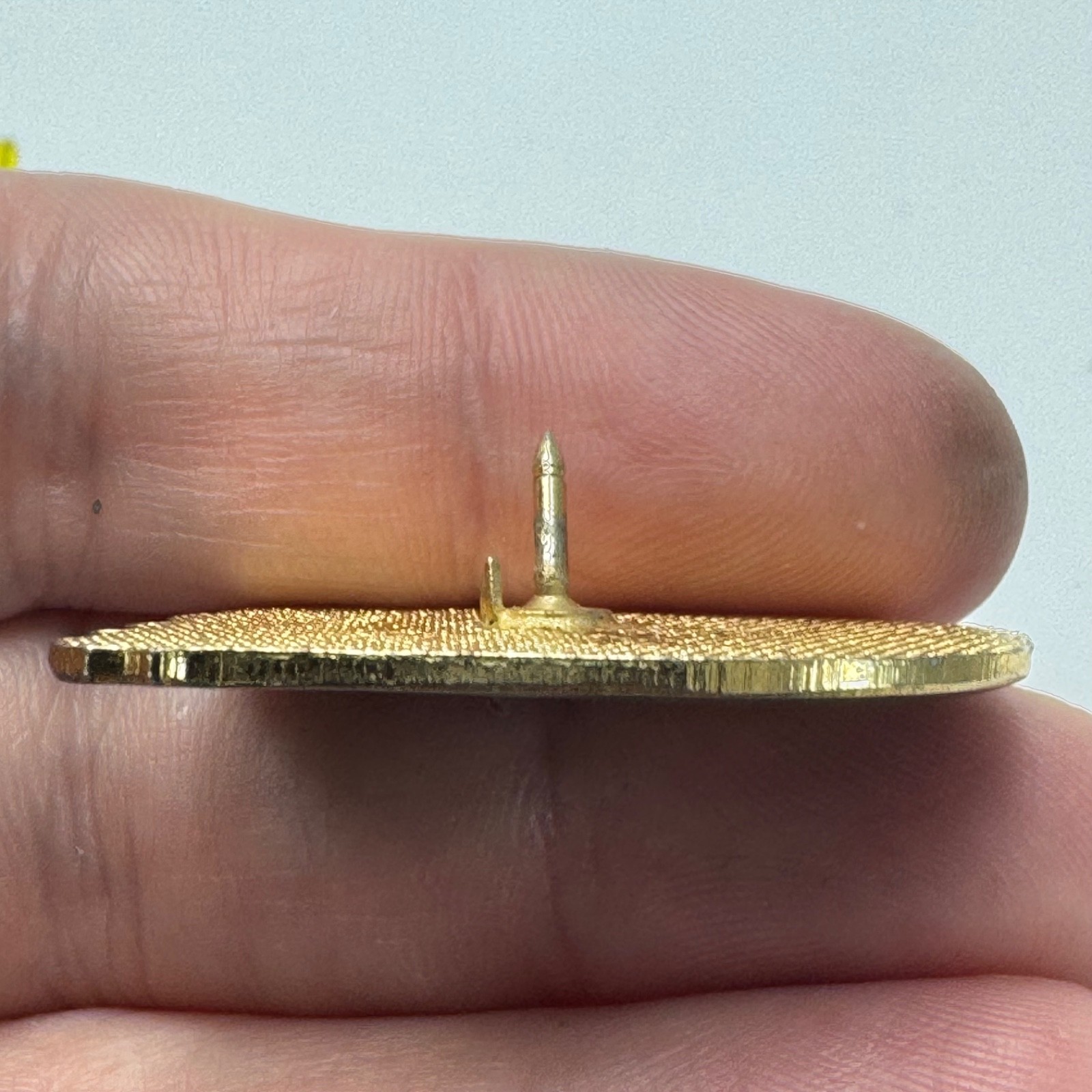 Vintage Devils Tower Wyoming Lapel Pin National Monument Scenic Travel Tourist