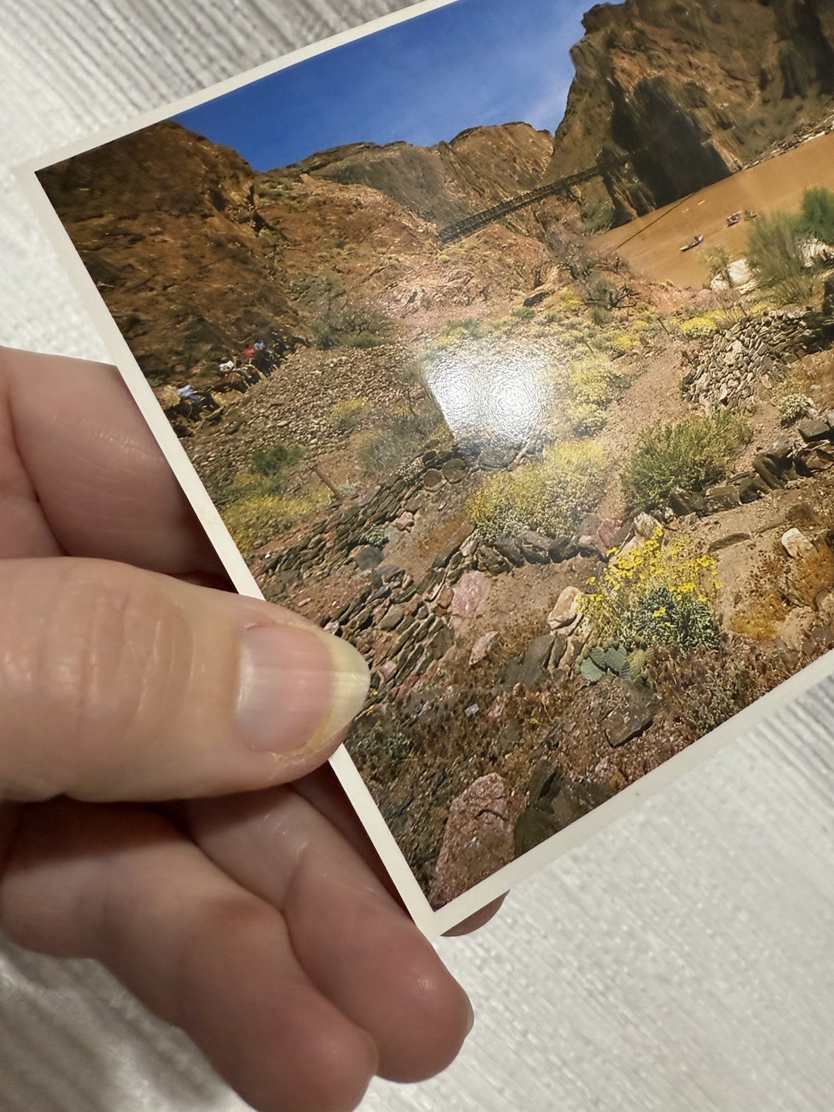 Vtg. 1990-“GRAND CANYON NATIONAL PARK” 12 Count-4 X 6 Postcard Pack/Set (Unused)