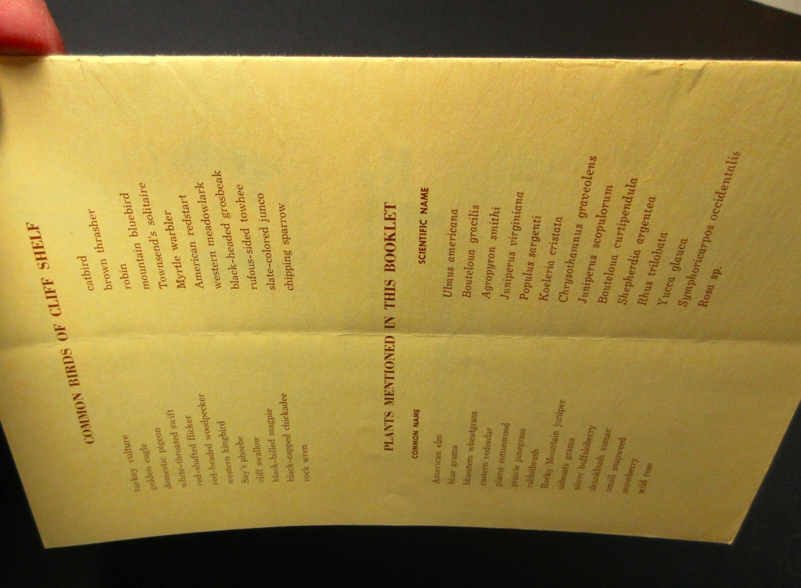 1967 Badlands National Monument Cliff Shelf Nature Trail with Map