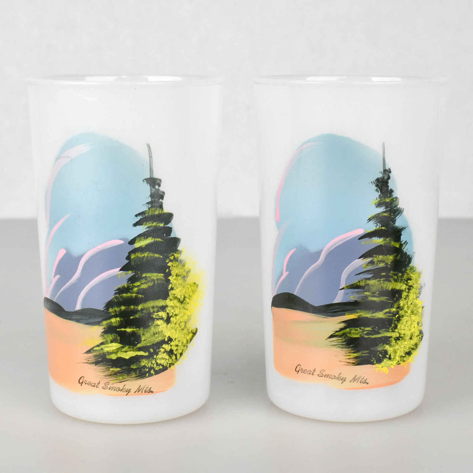 Pair of VTG Beacon Plastics Tumbler Cups with Hand Painted Great Smoky Mountains