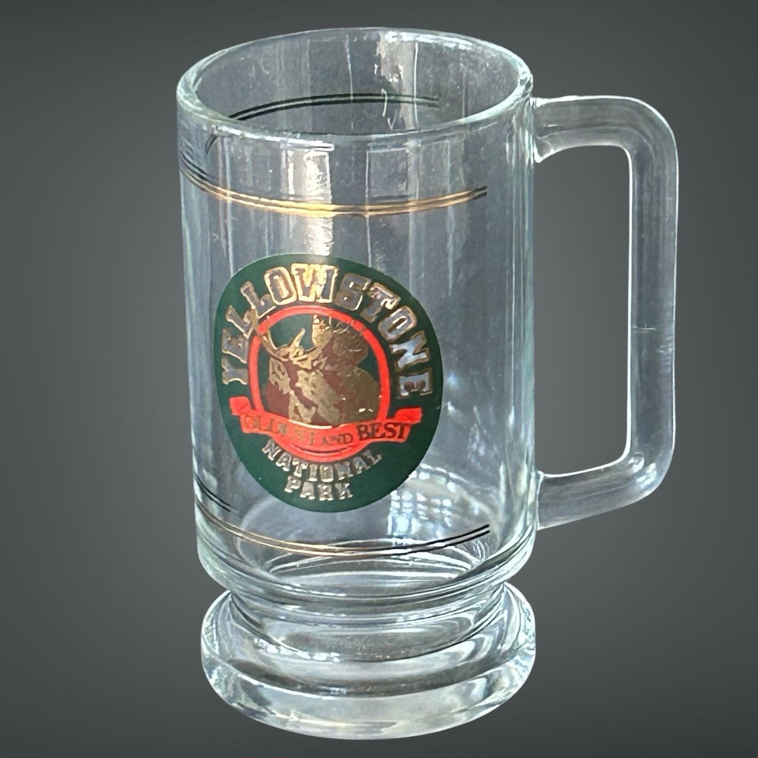 Vintage Yellowstone National Park Oldest And Best Moose Logo 16oz Glass Mug