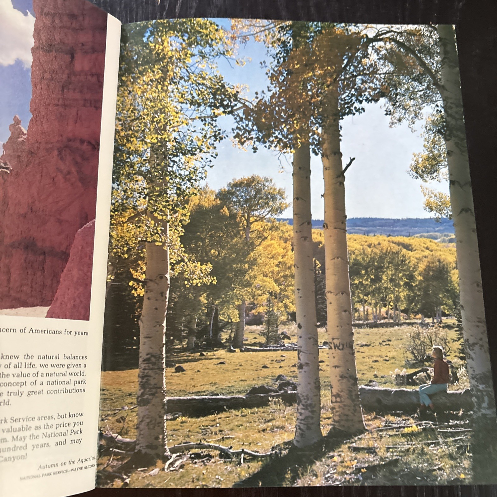 National Parks Centennial Bryce Canyon (1976/Trade Paperback) by Don Follows