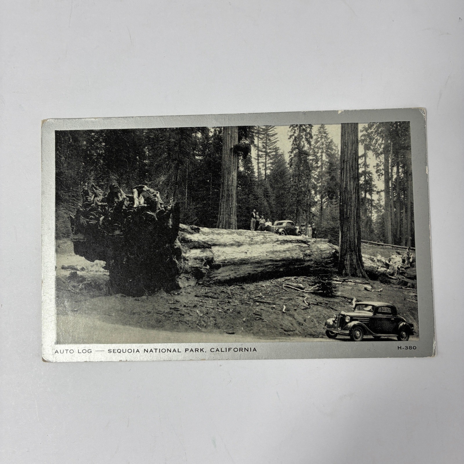 VTG Auto Log Sequoia National Park California RPPC Postcard H-380 BW 1930s