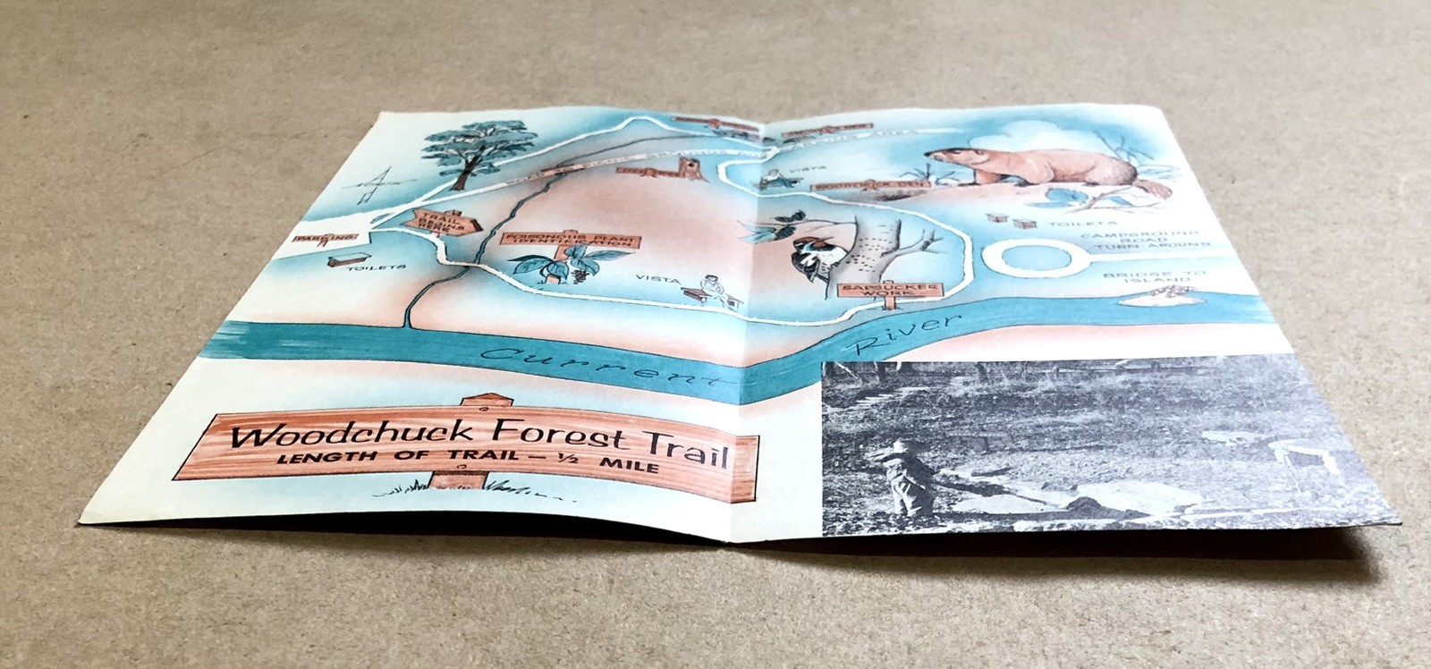 Mark Twain National Forest, 1964 Forest Service Map, Woodchuck Forest Trail, VG+
