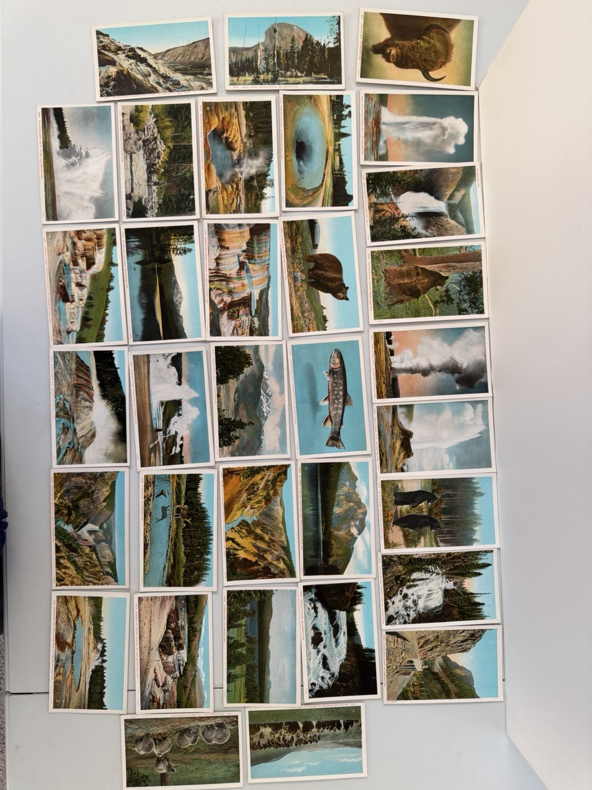 Vintage Yellowstone National Park – Lot Of 33