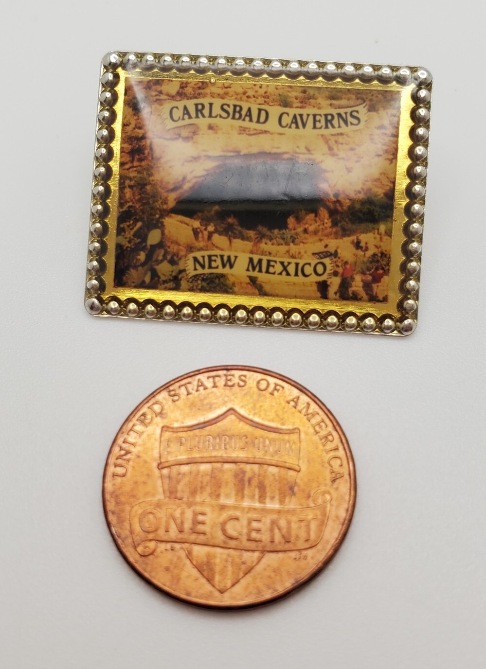 Carlsbad Caverns National Park New Mexico Souvenir Collectible Picture Pin