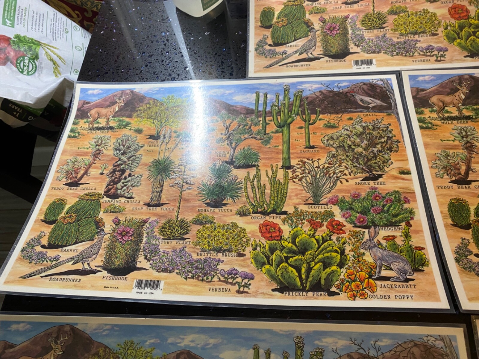 lot of 4 Grand Canyon Painted desert Petrified forest National Parks table mats