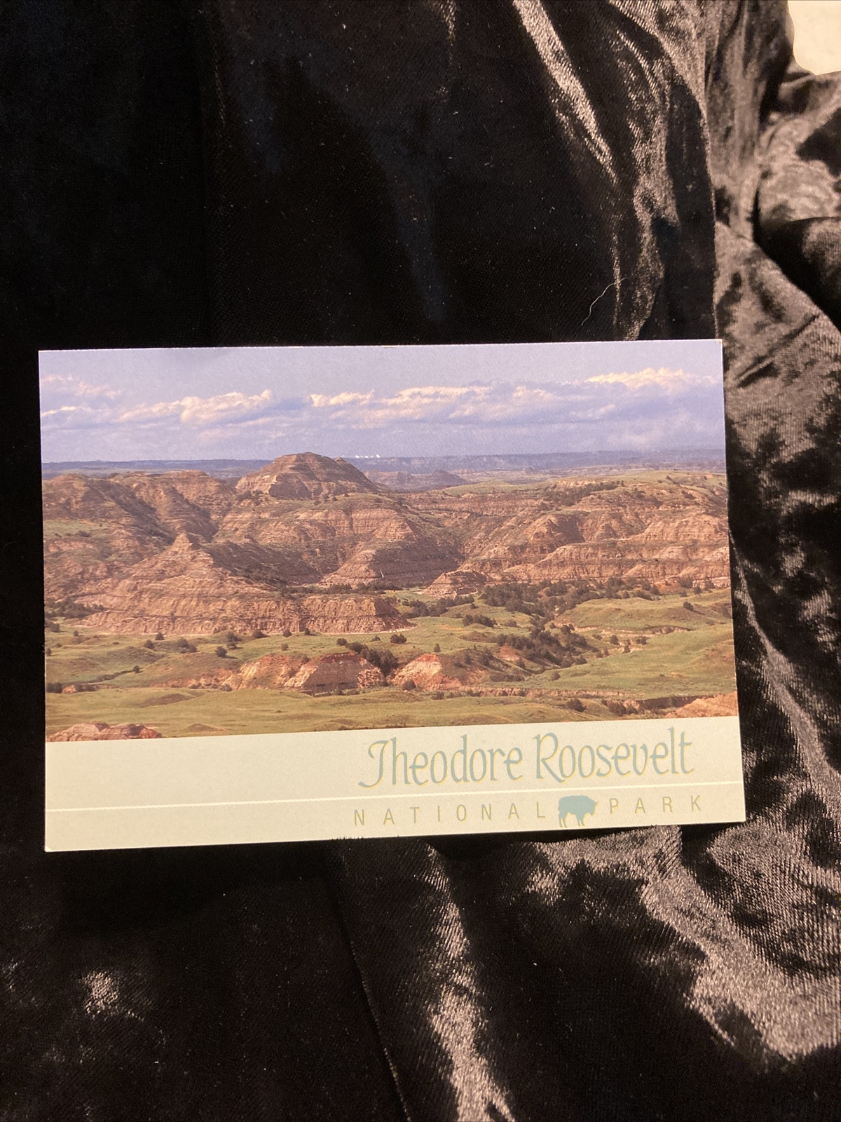 Vintage Theodore Roosevelt National Park Postcard Unposted RPPC