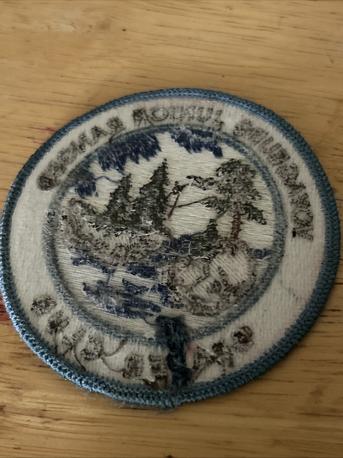NPS Junior Ranger Patch Glacier Bay National Park Whale Fluke, Blue Patch
