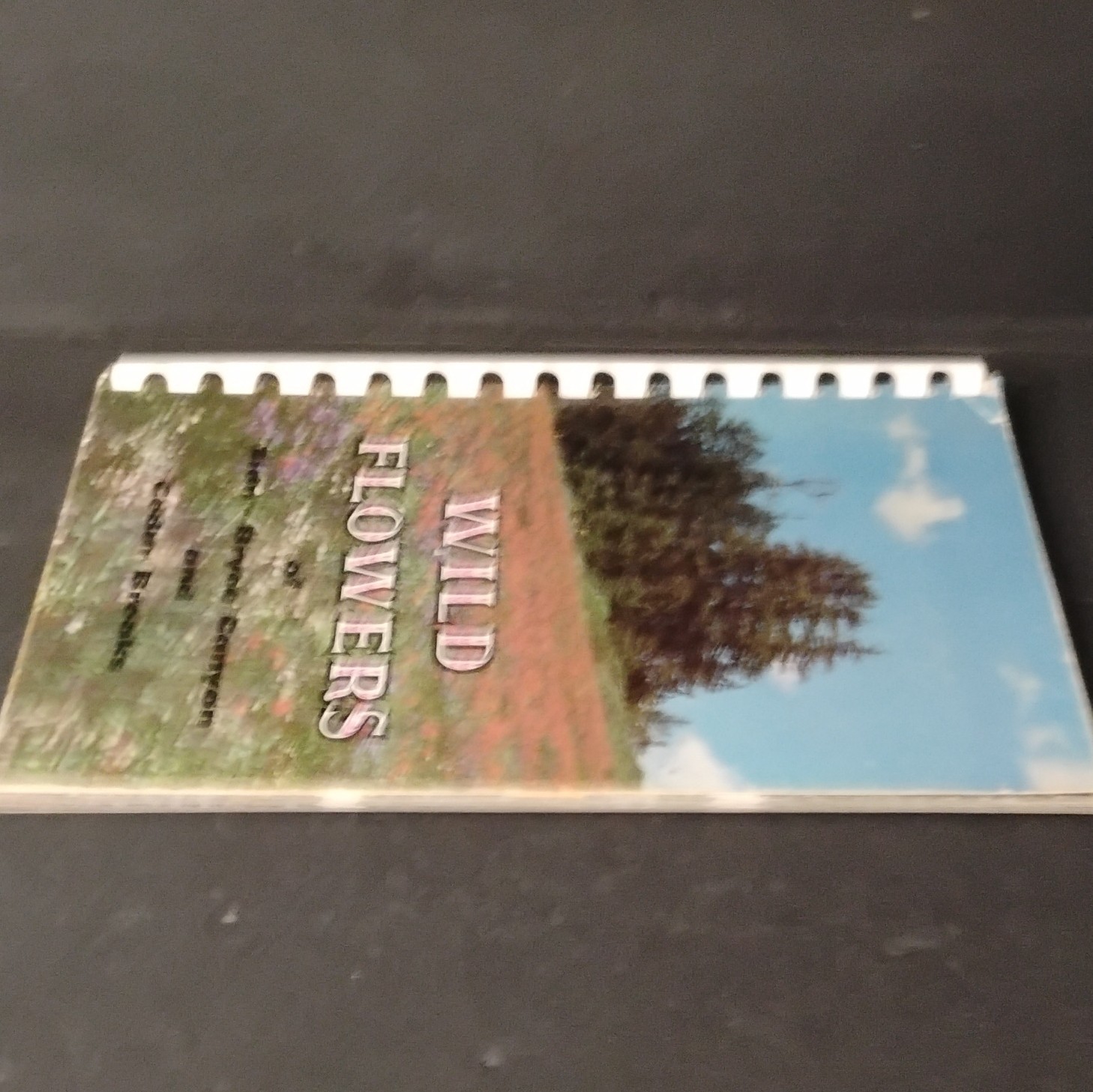 Wild Flowers of Zion Bryce Canyon Cedar Breaks National Parks 1958 Spiral Bound