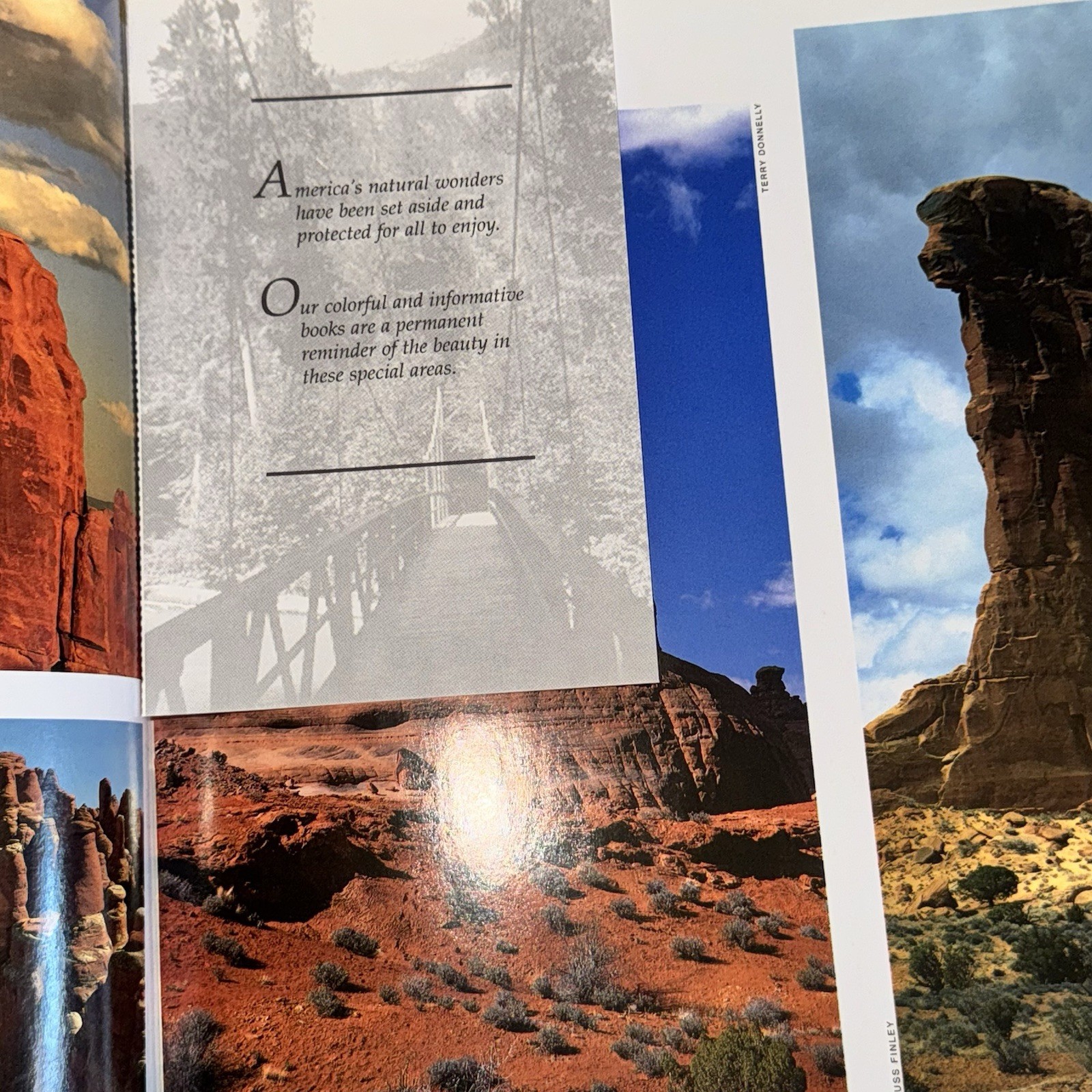 4 National Park Books – Mesa Verde, Arches, Petrified Forest, Natural Bridges