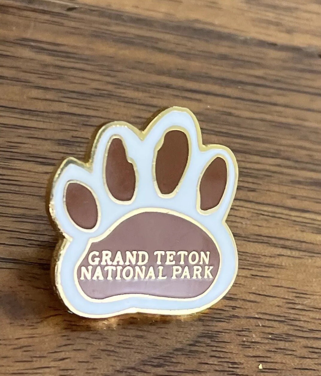 Grand Teton National Park Tourist Travel Souvenir Collector Pin Wyoming Outdoor