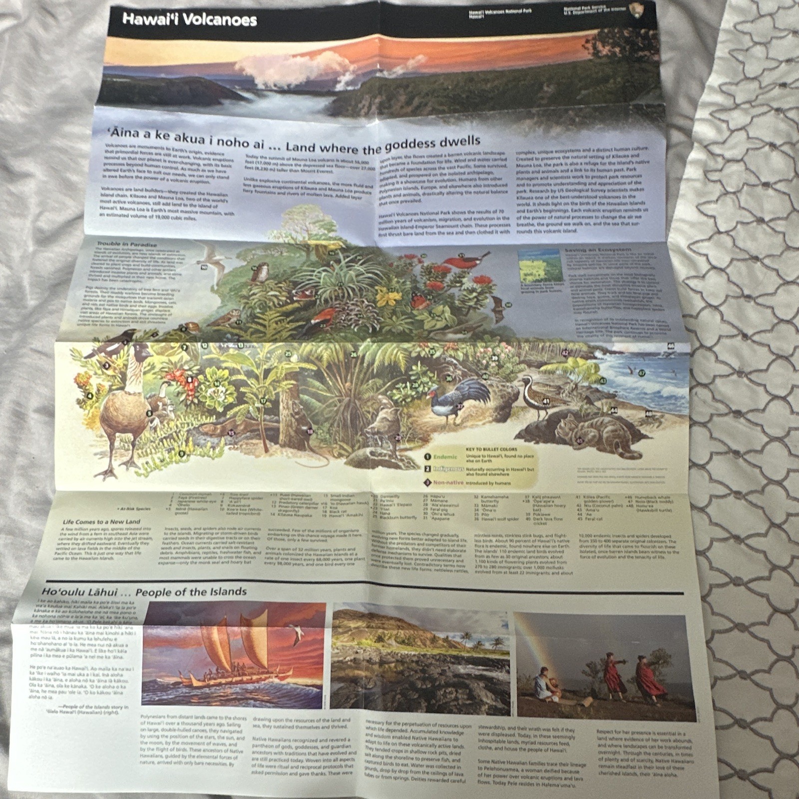 Hawai‘i Volcanoes National Park National Park Service Fold-Out Map/Brochure