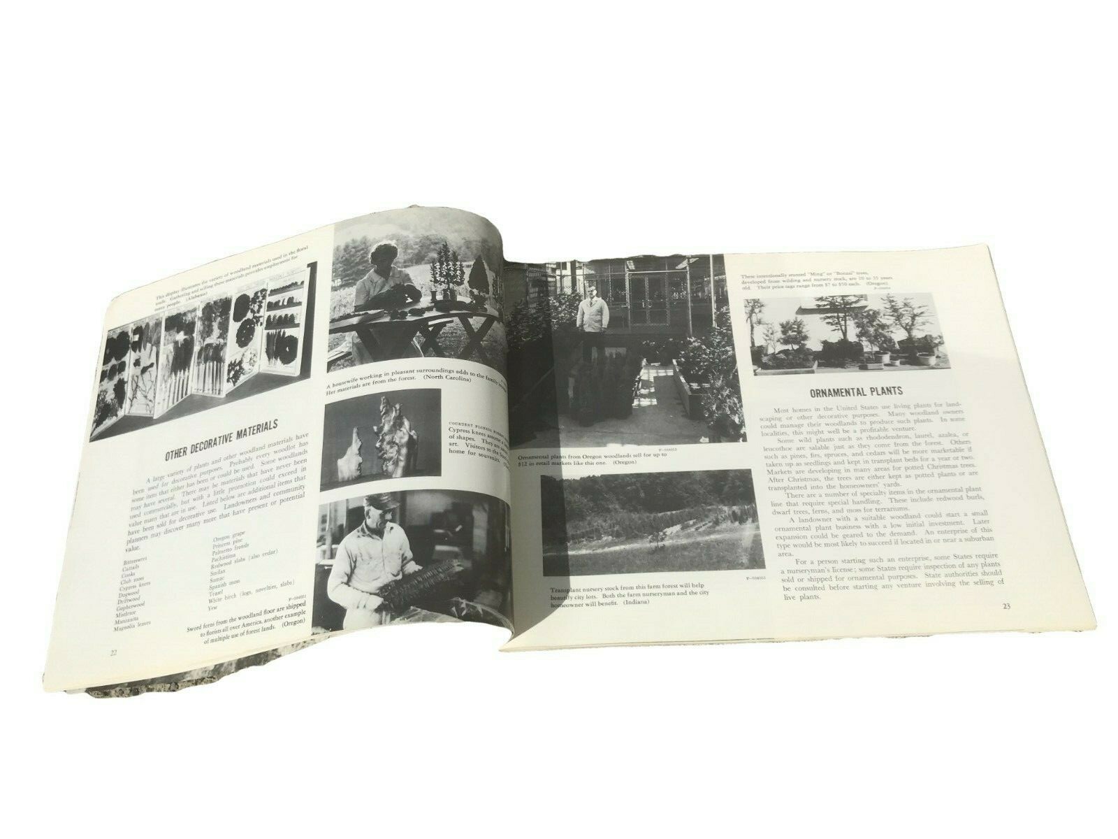 Vtg Booklet 1960s Special Forest Products for Profit US Dept of Agriculture – A2