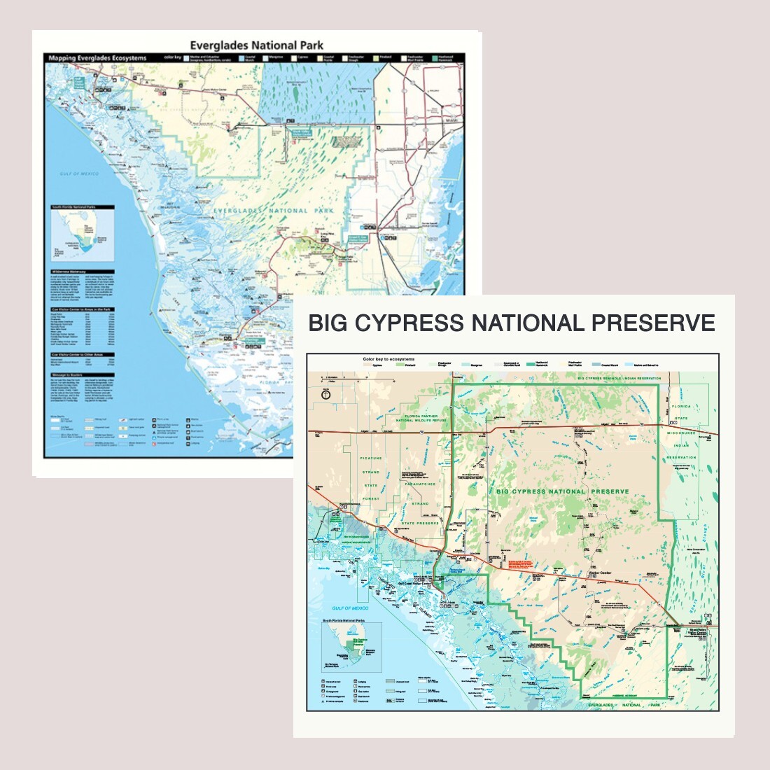 Florida National Park Bandanna 2-Pack Bundle Everglades Big Cypress Map Nature