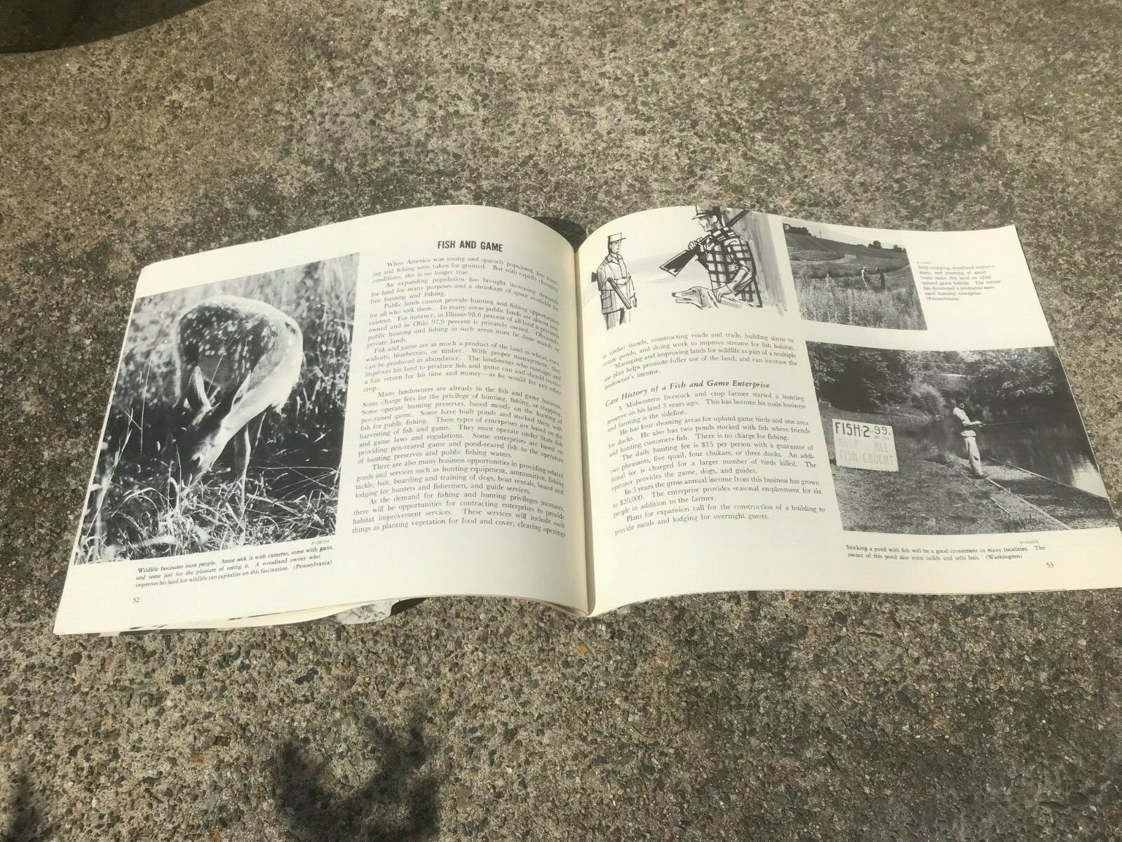 Vtg Booklet 1960s Special Forest Products for Profit US Dept of Agriculture – A2