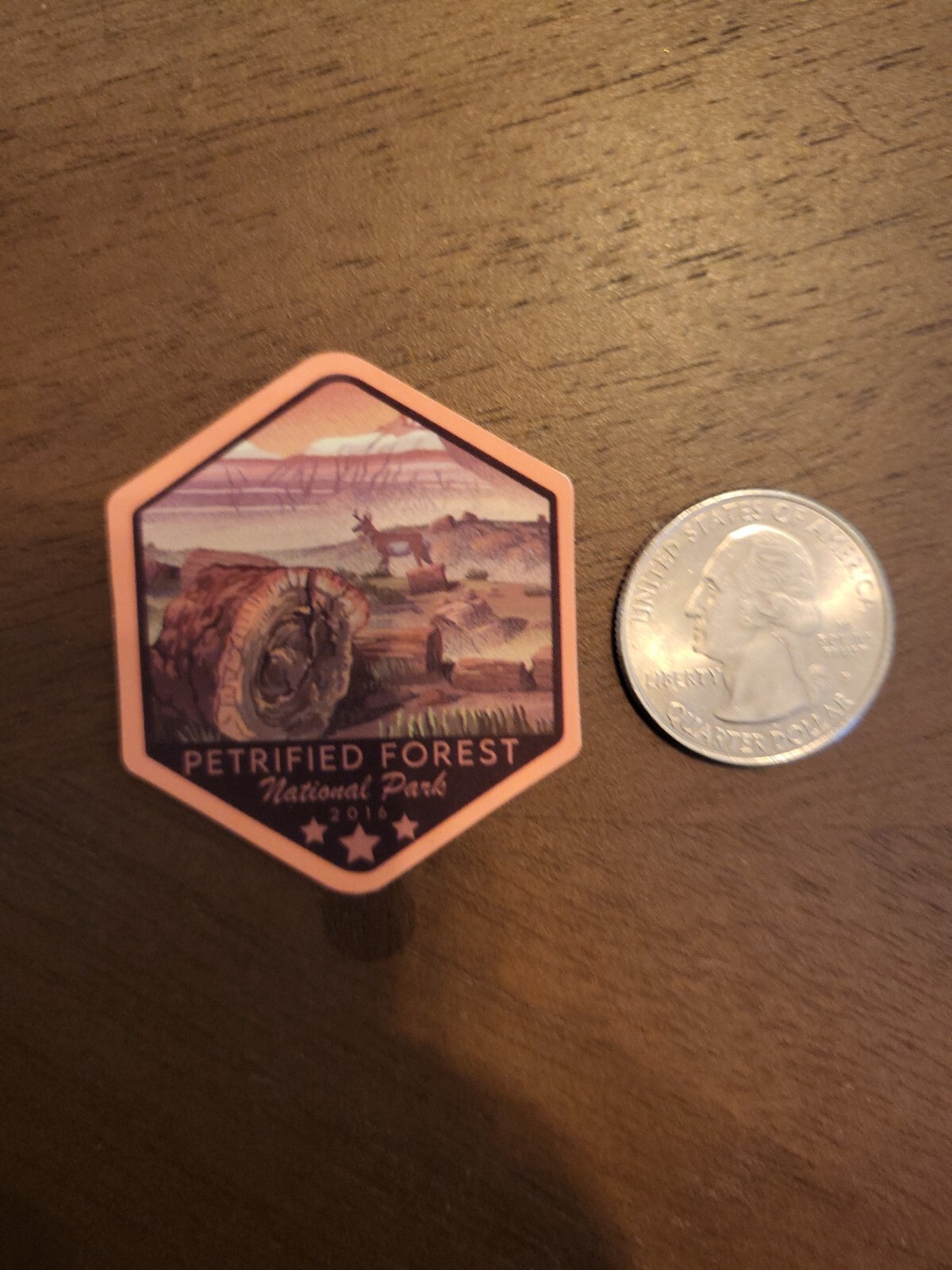 Petrified Forest National Park Sticker Decal
