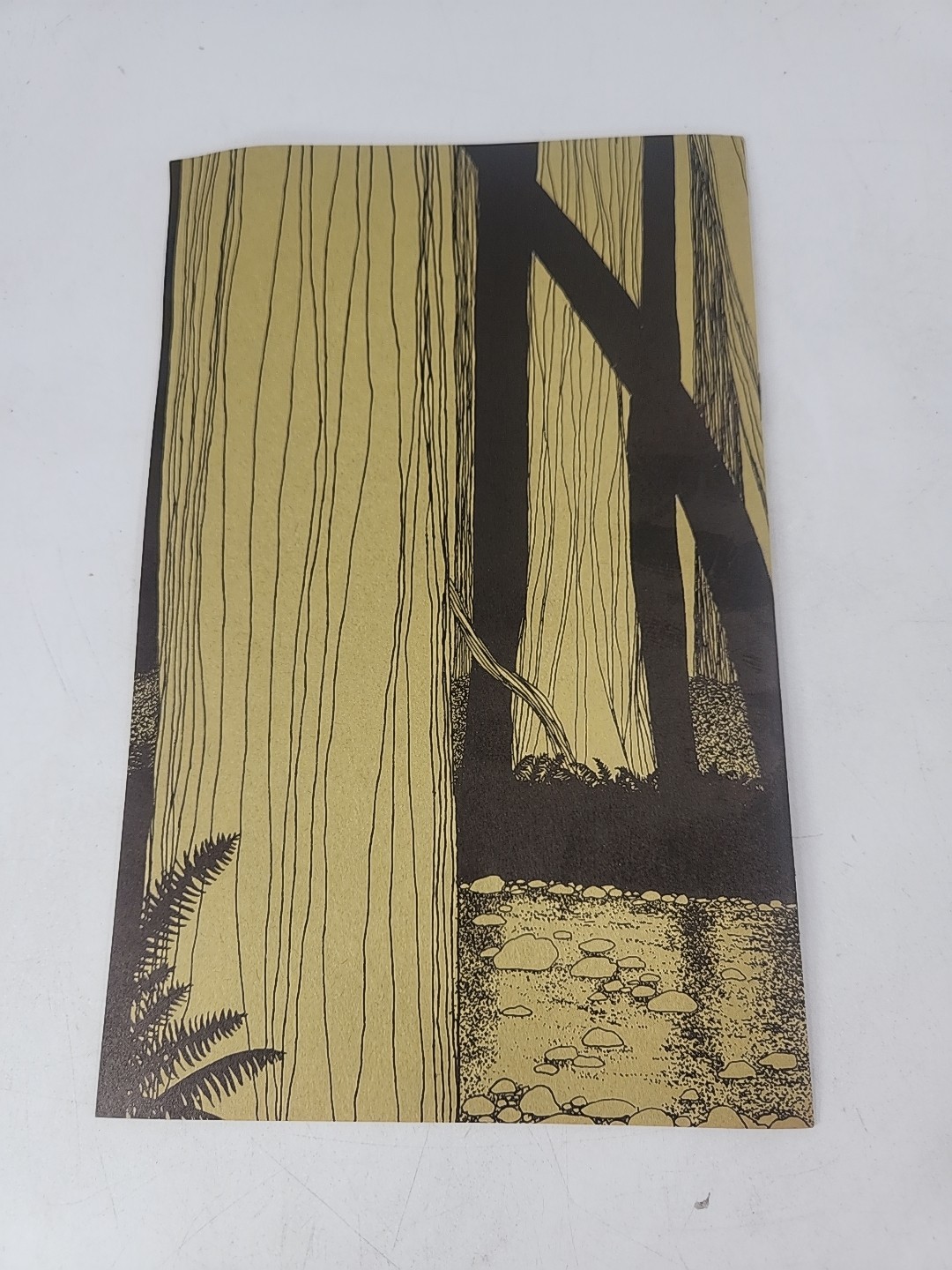Vintage Muir Woods Monument Nature Lover Brochure Ephemera And Map