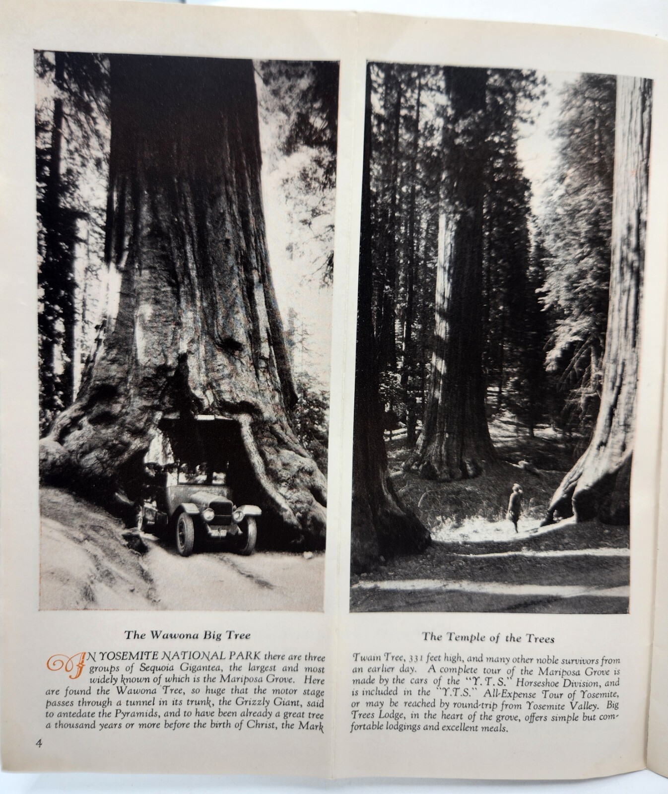 Yosemite and the Mariposa Big Trees Travel Brochure Transportion c.1920s