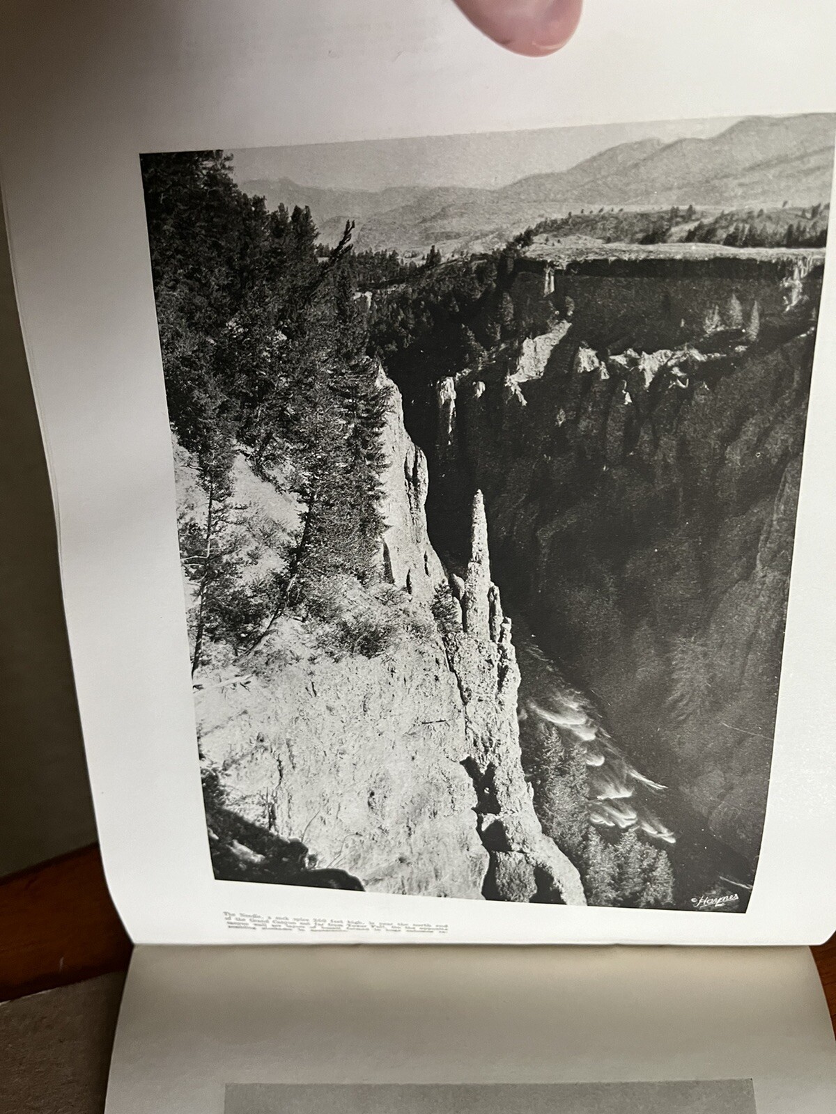 Vintage 1940 Hayne ‘ s Souvenir Album Yellowstone National Park B&W Photo Album