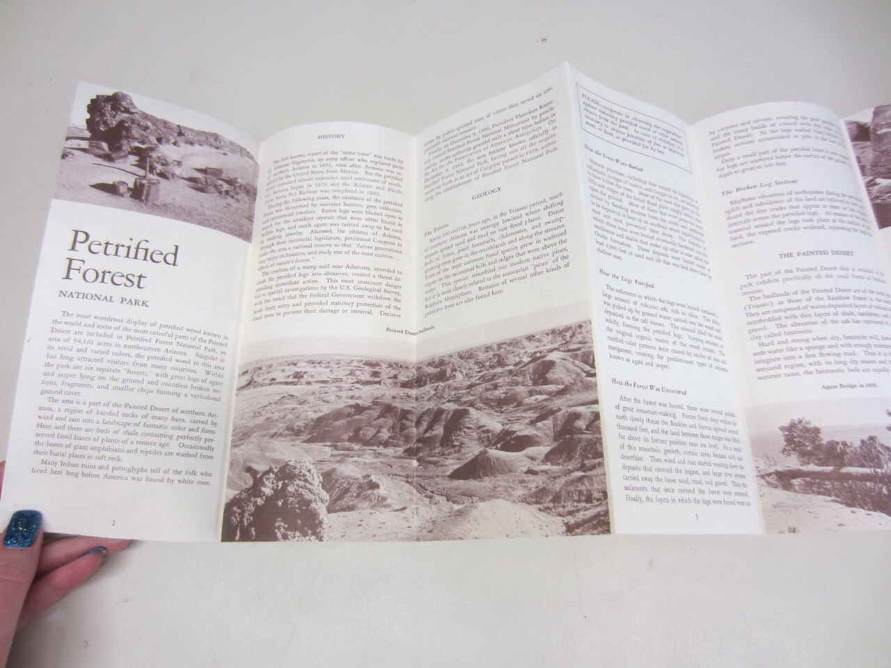 Vintage 1966 PETRIFIED FOREST Travel Brochure National Park Arizona Guide Map