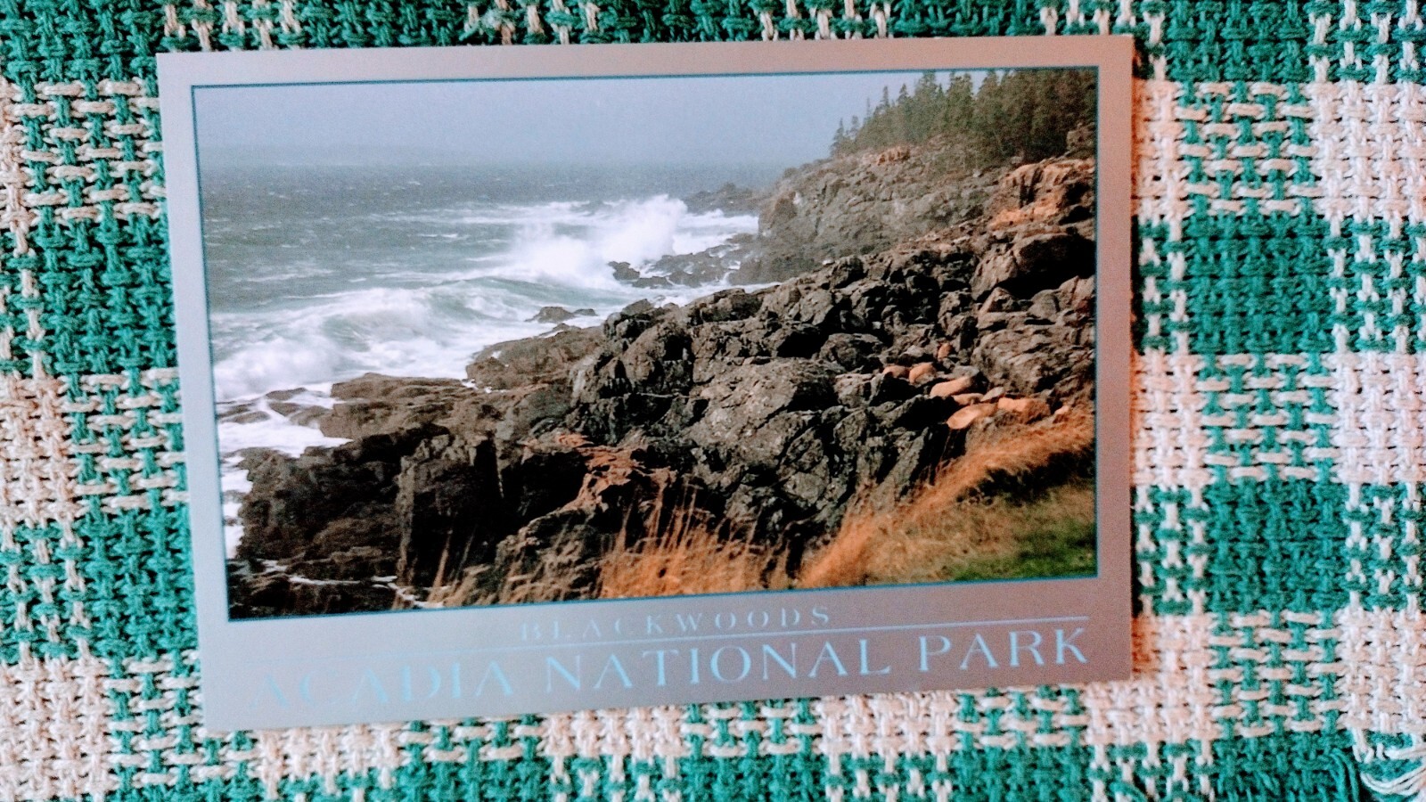 POST CARD BEAUTIFUL BLACK WOODS ACADIA NATIONAL PARK MAINE.