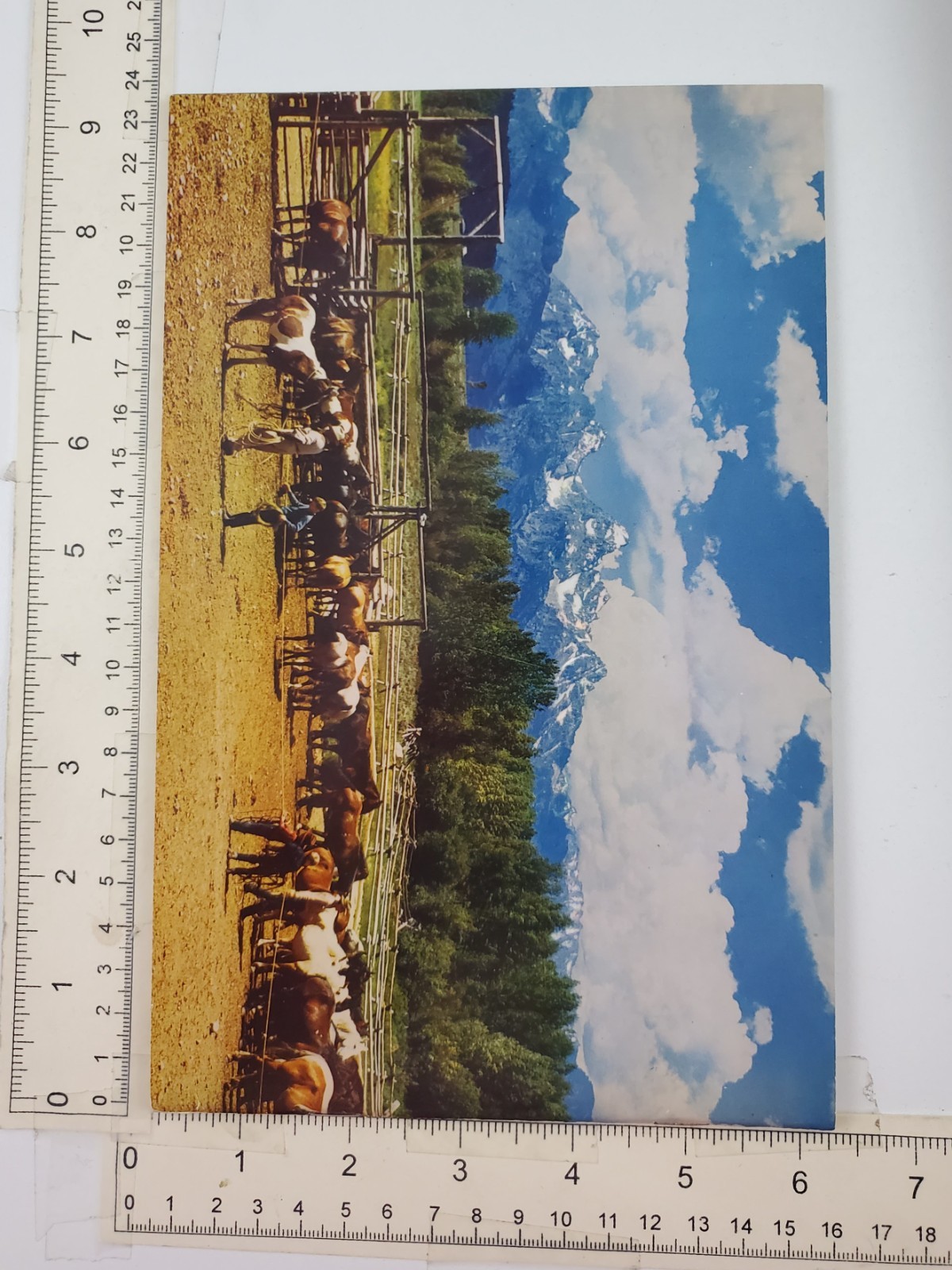 1960s Jackson Hole Wyoming WY Grand Teton National Park Vtg Photo Travel Booklet