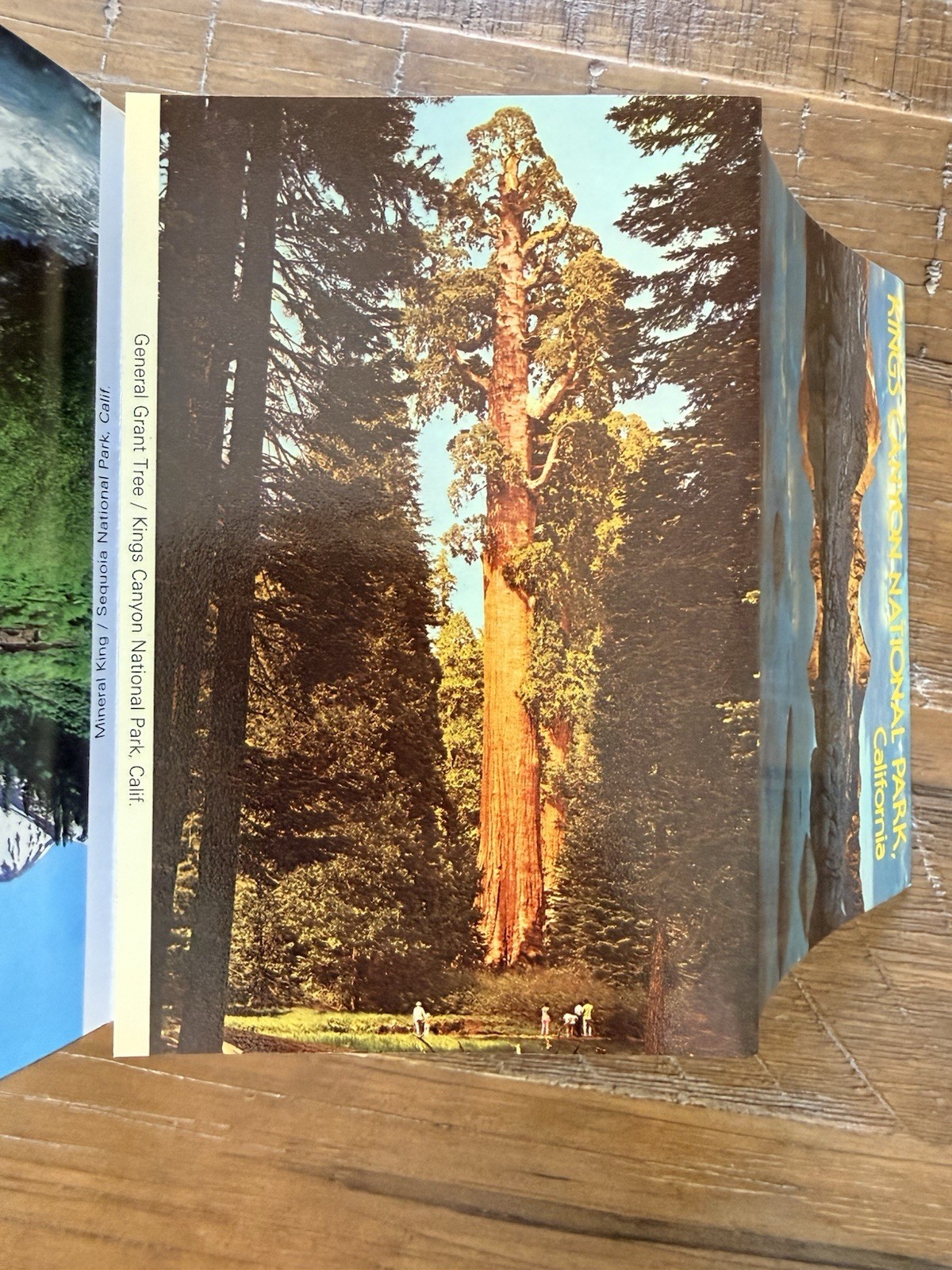 Vintage Sequoia National Park Accordion Pamphlet Photography By David Muench 85’