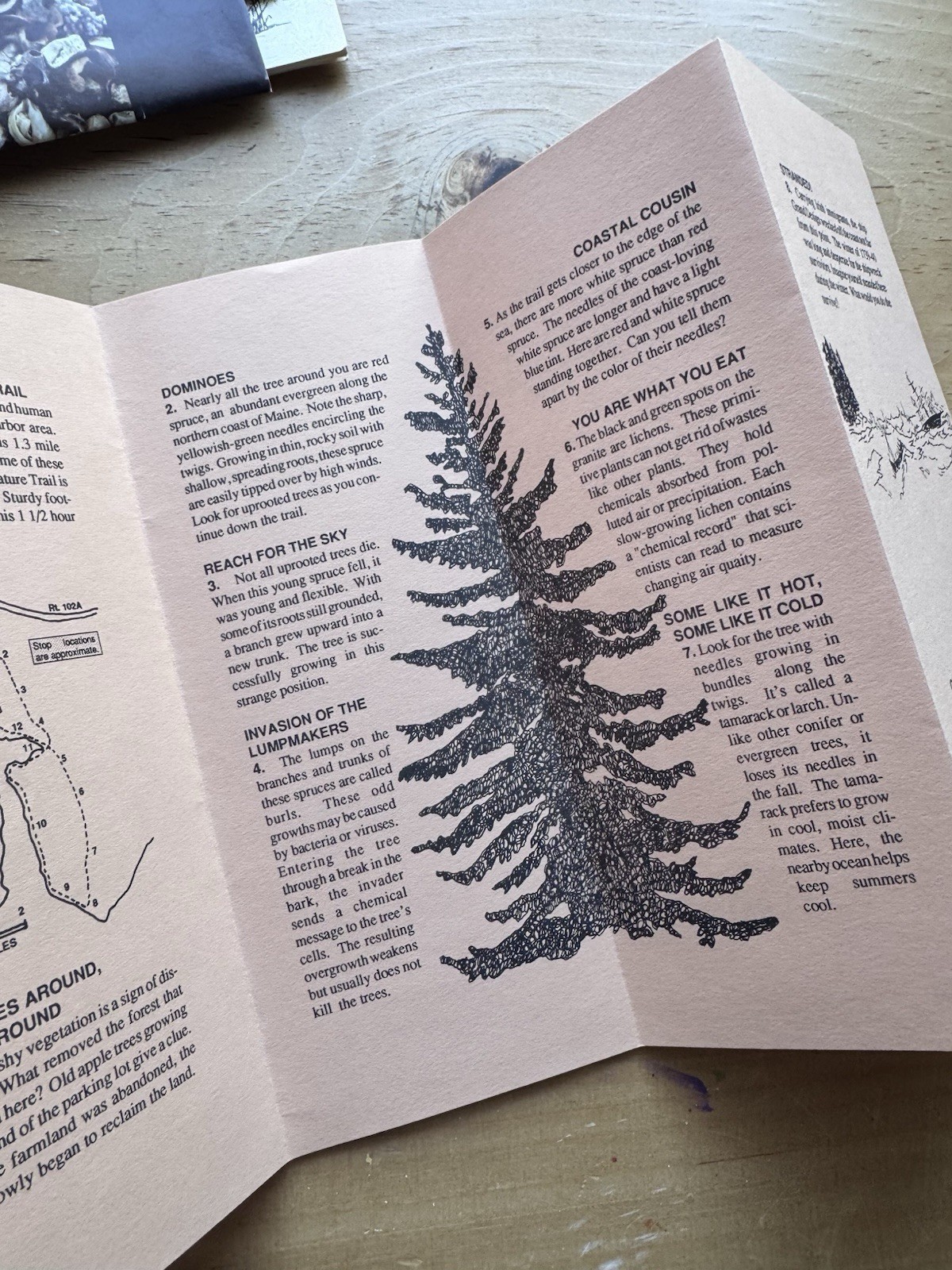 Collection Of Vintage 1980s Acadia National Park Books & Ephemera