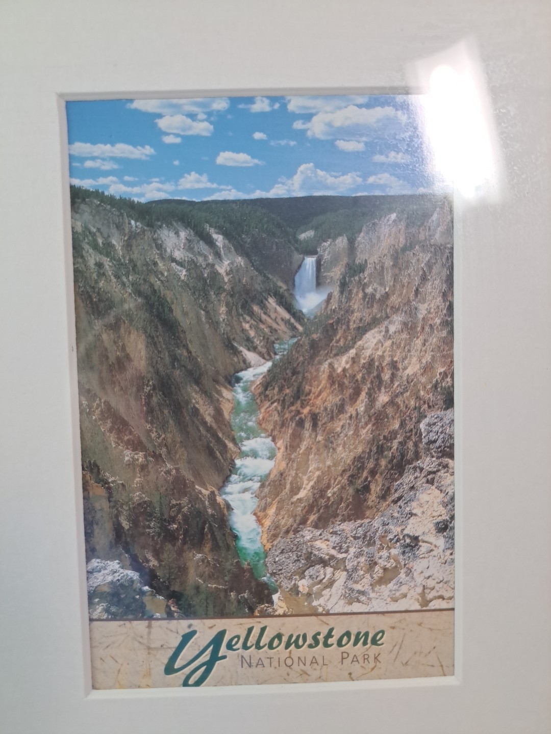3 Framed Souvenir Prints Or Postcards Of Yellowstone National & Grand Teton Park