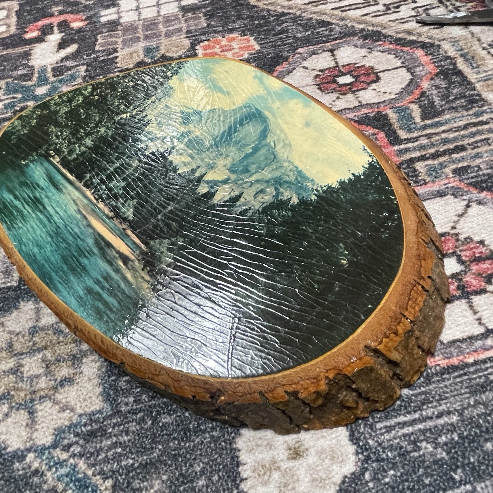 Vintage Yosemite Half Dome Live Edge Wood Special Plaques Genuine Trail Marker