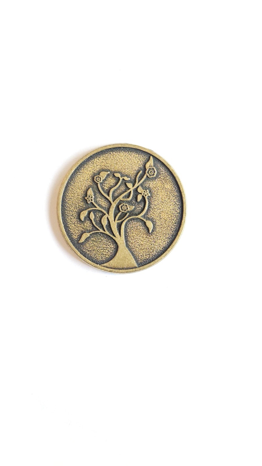 Smithsonian institution annual festival 2002 silk road celebration coin