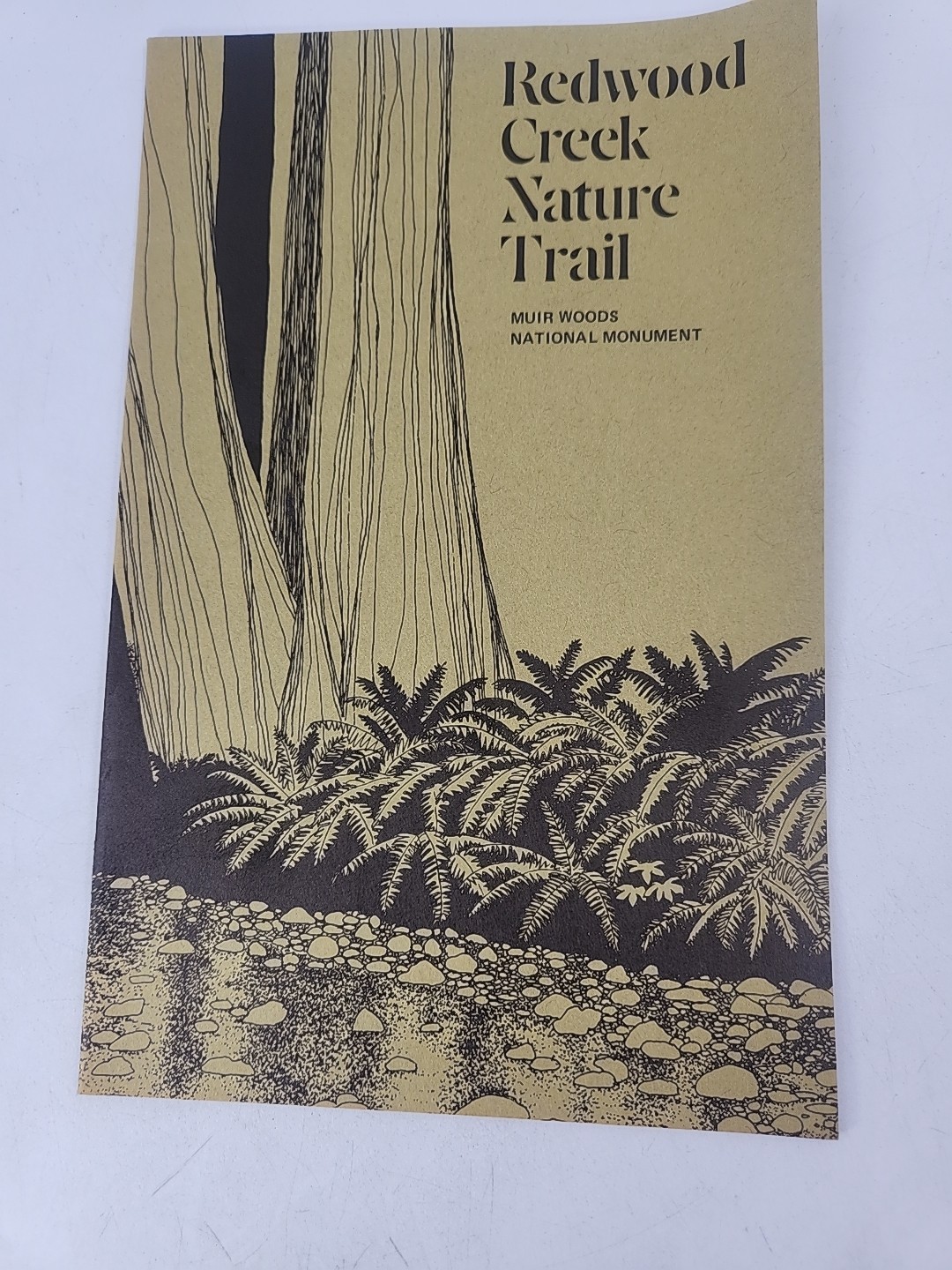 Vintage Muir Woods Monument Nature Lover Brochure Ephemera And Map
